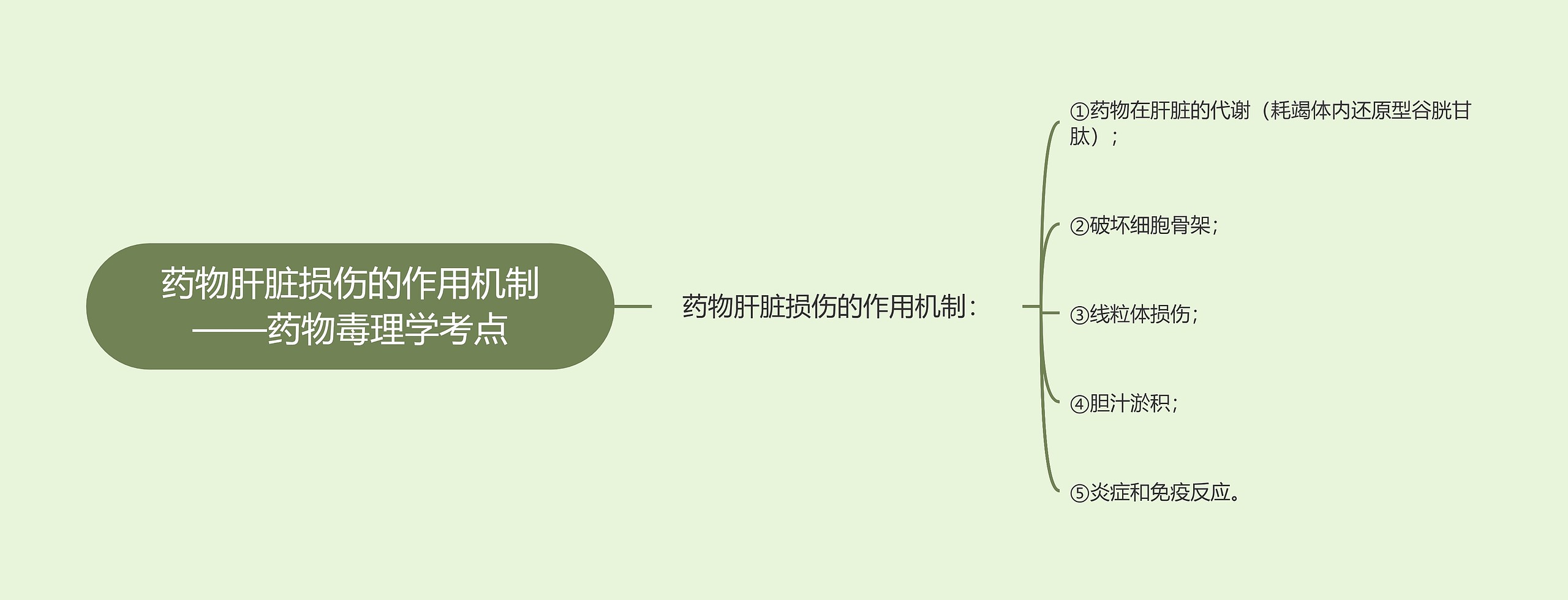 ​药物肝脏损伤的作用机制——药物毒理学考点思维导图