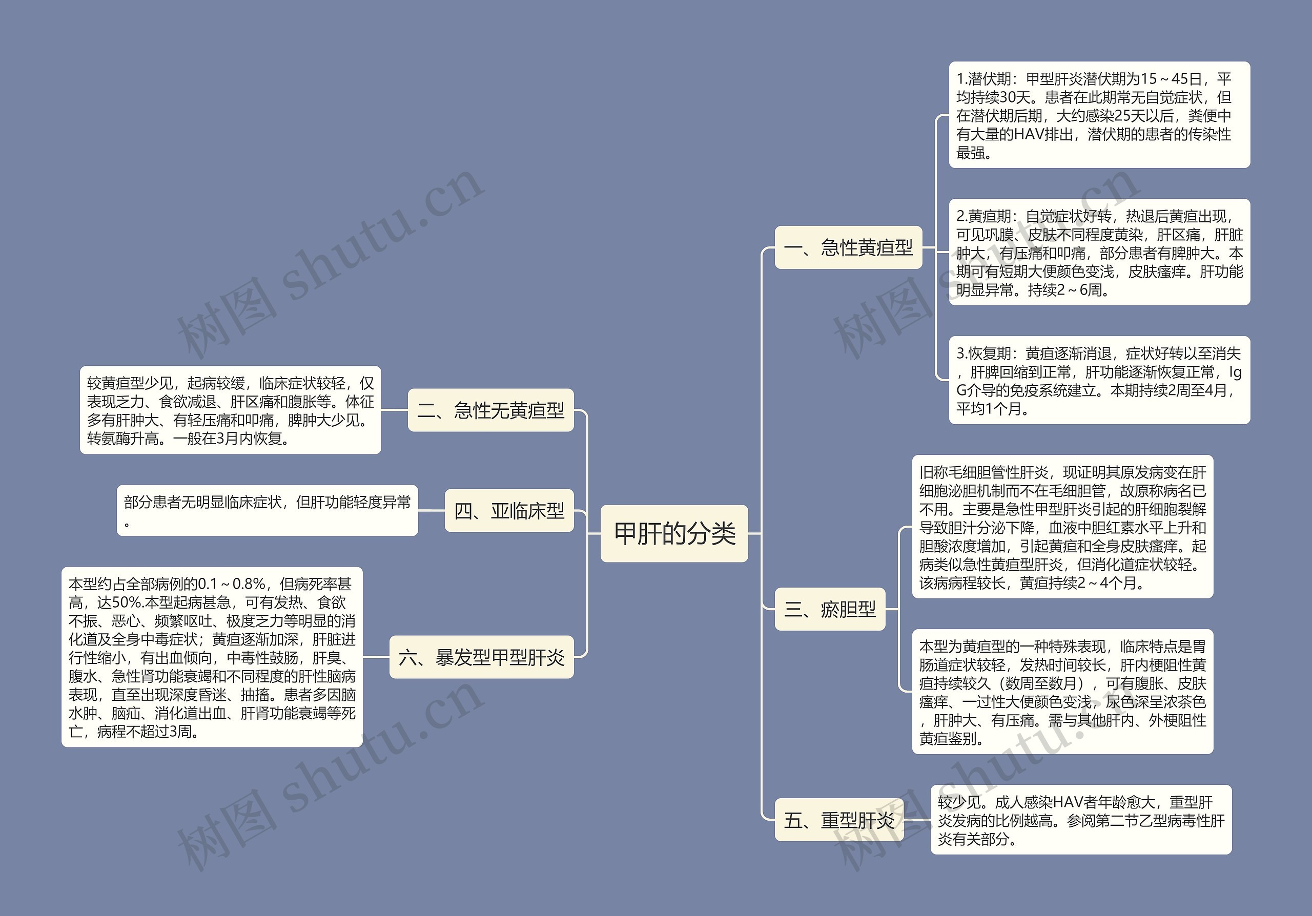 甲肝的分类思维导图