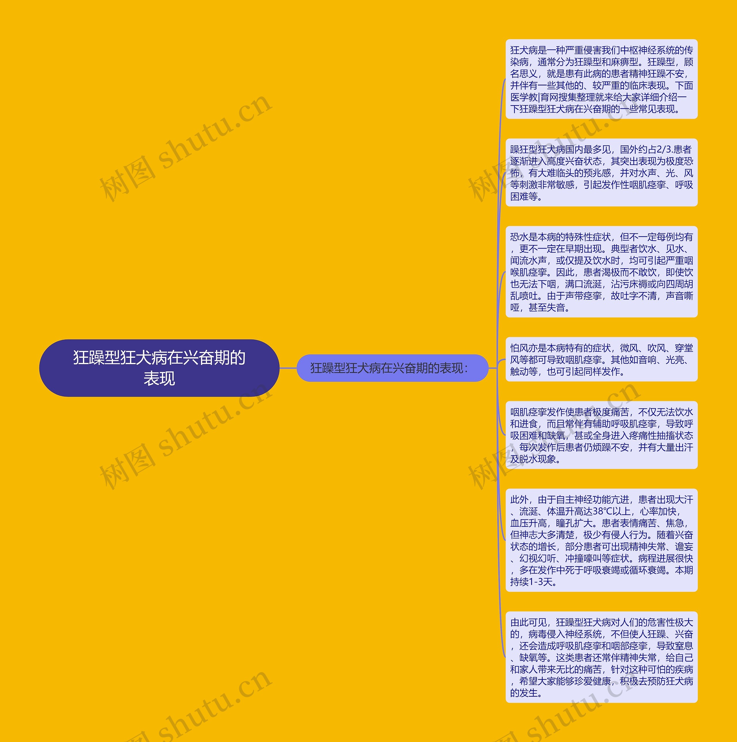 狂躁型狂犬病在兴奋期的表现思维导图