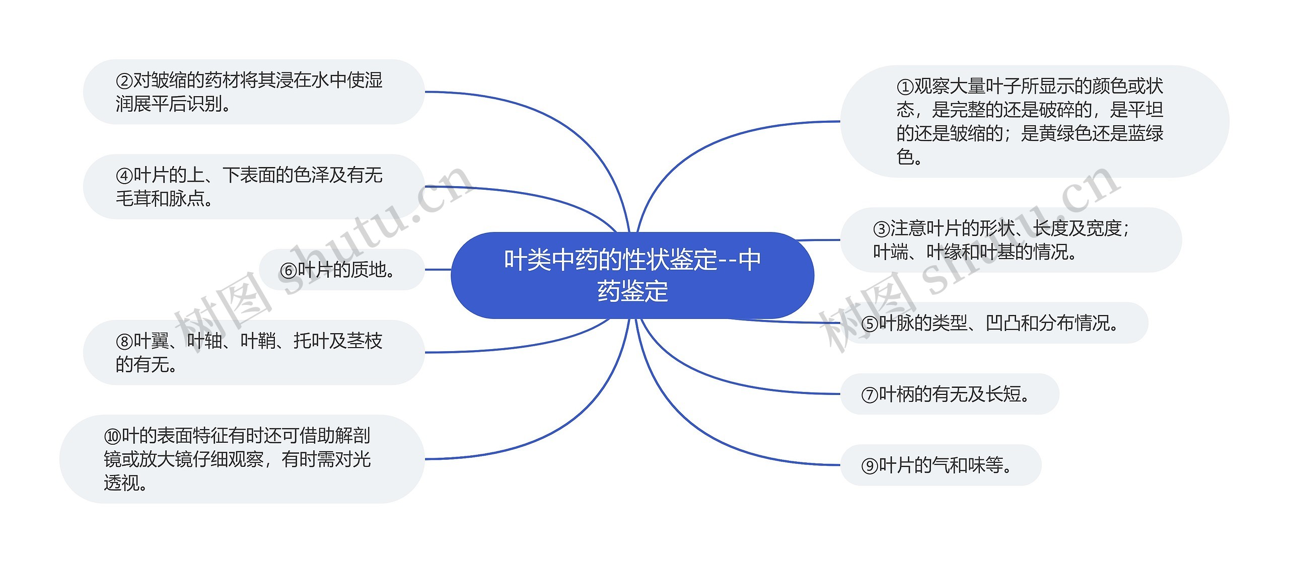 叶类中药的性状鉴定--中药鉴定思维导图