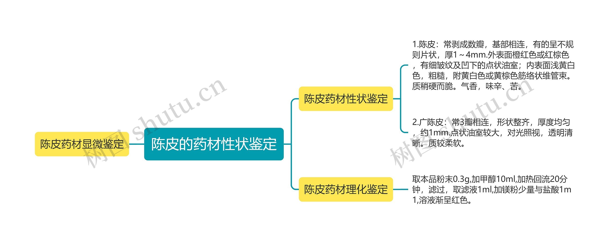 陈皮的药材性状鉴定思维导图