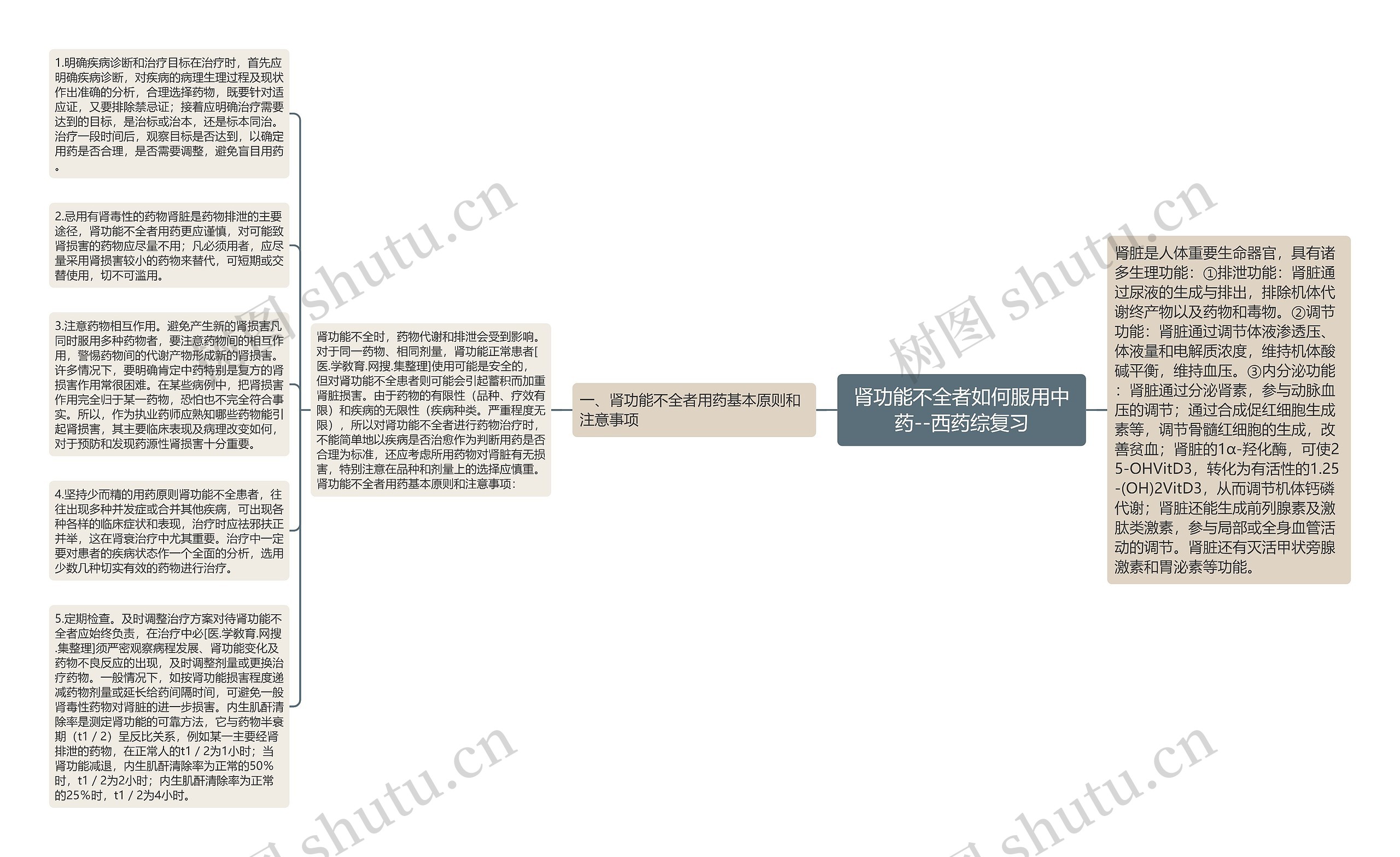 肾功能不全者如何服用中药--西药综复习思维导图