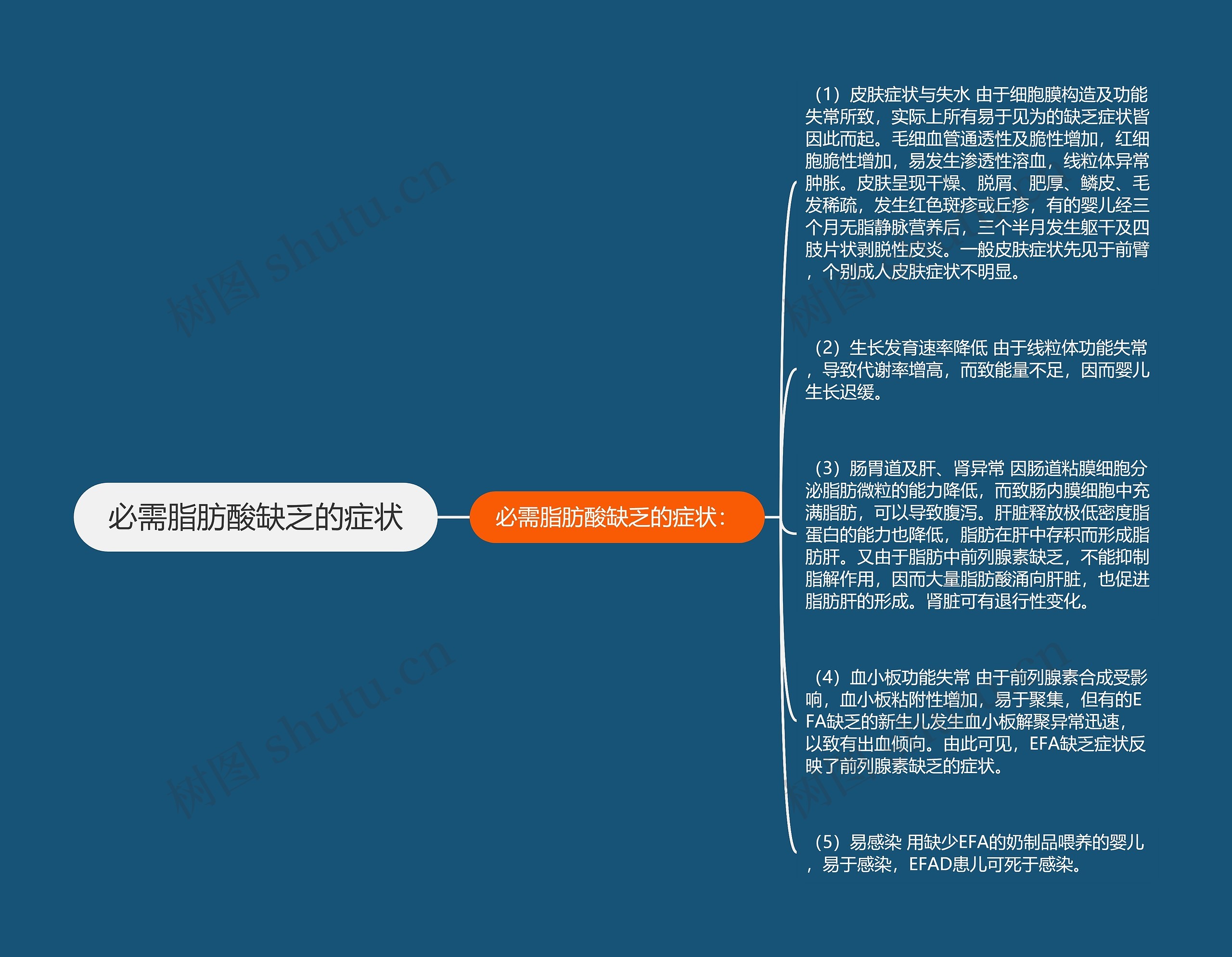 必需脂肪酸缺乏的症状思维导图