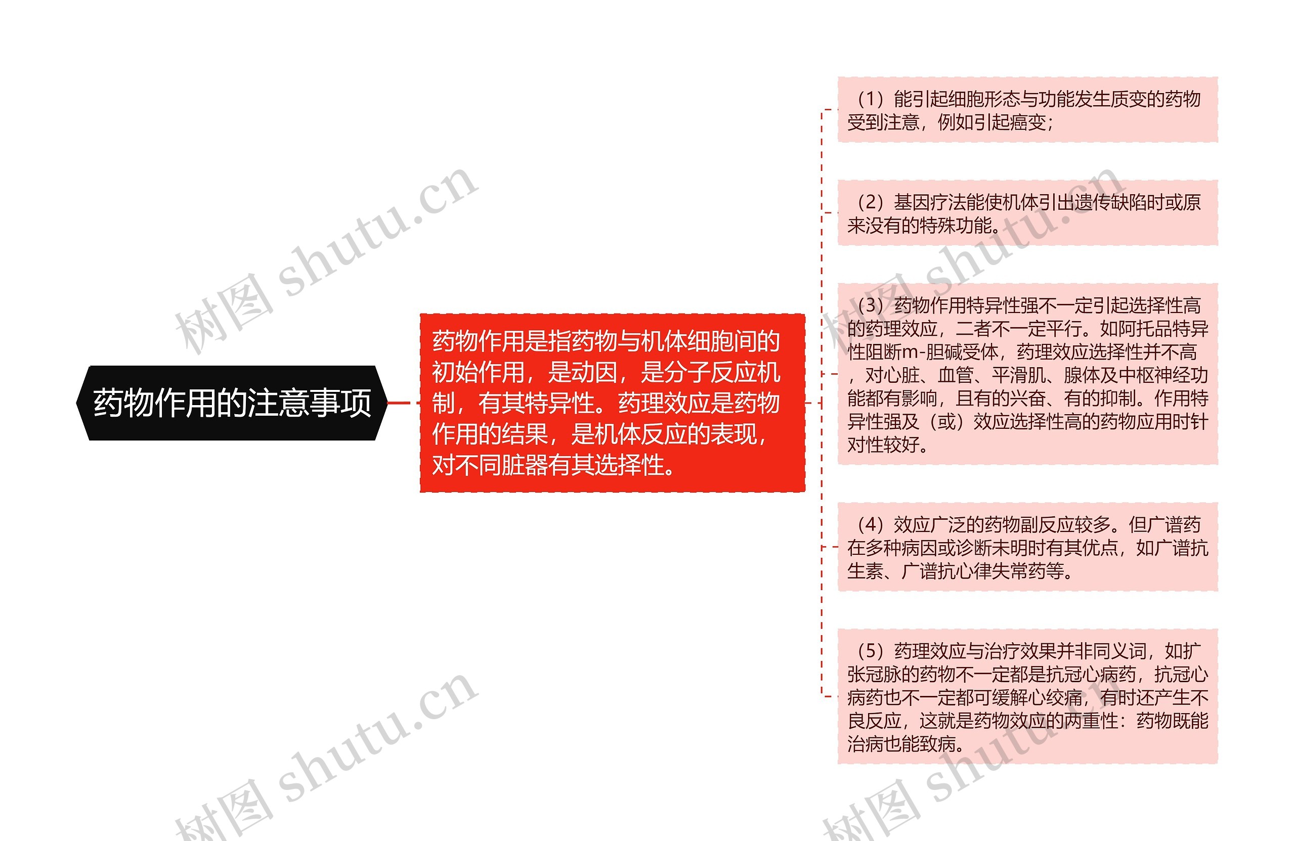 药物作用的注意事项