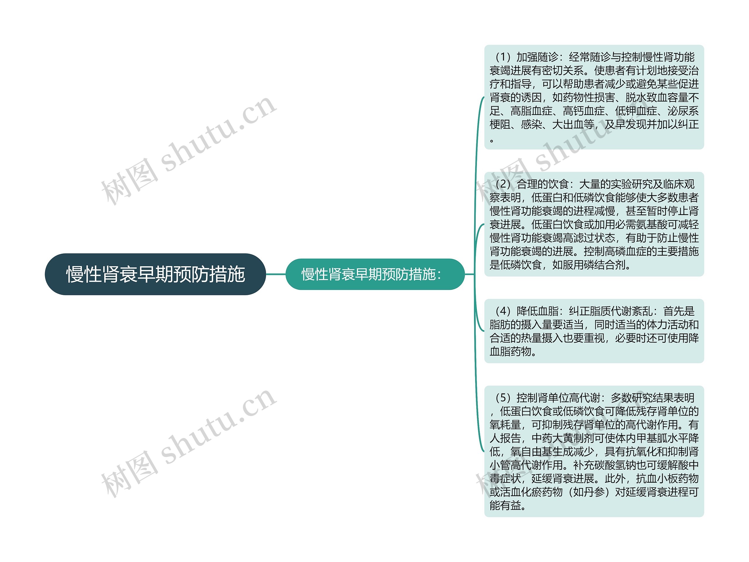 慢性肾衰早期预防措施思维导图