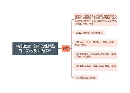 中药鉴定：黄芩的性状鉴别、功效及主治病症