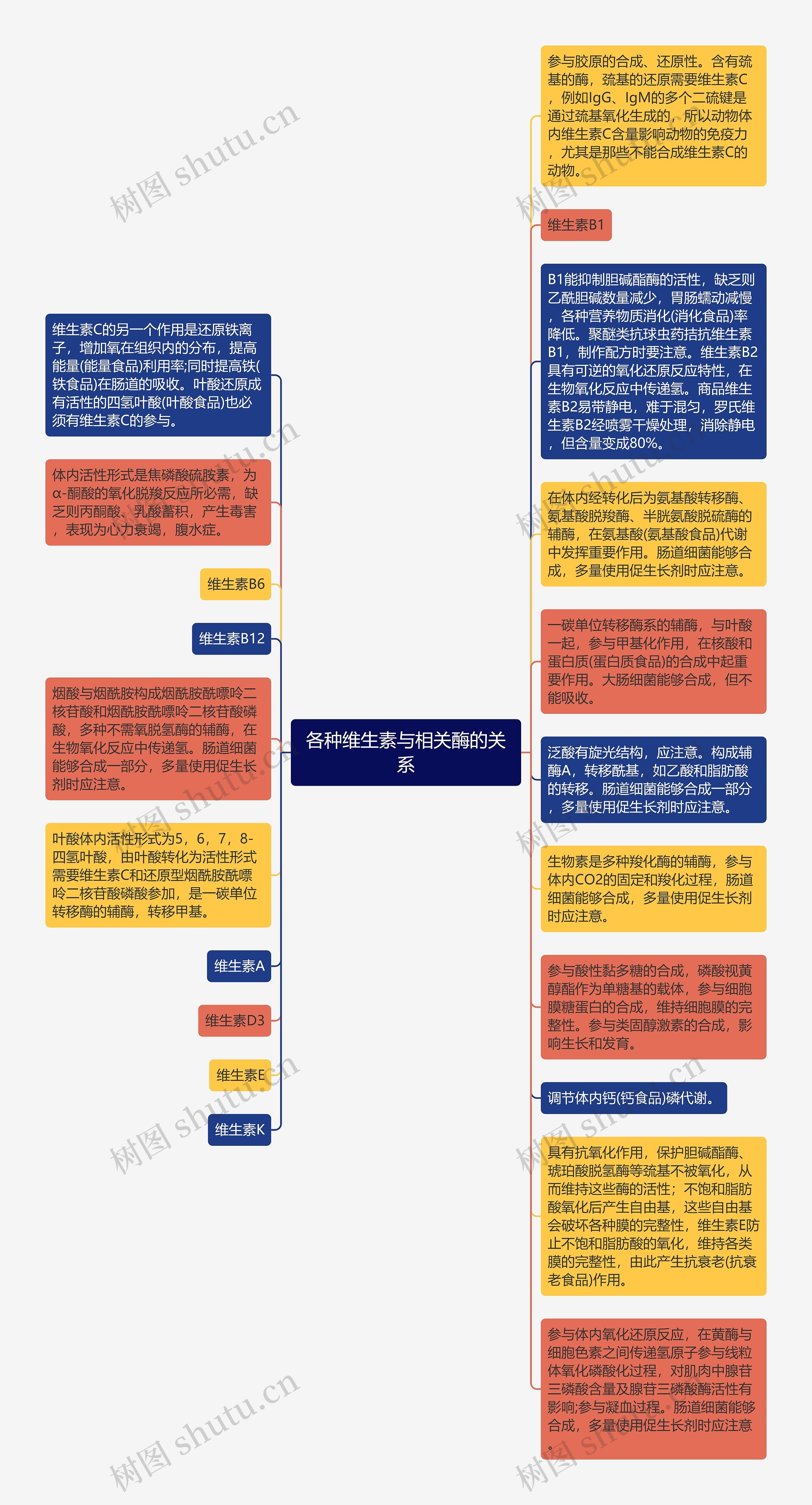 各种维生素与相关酶的关系思维导图