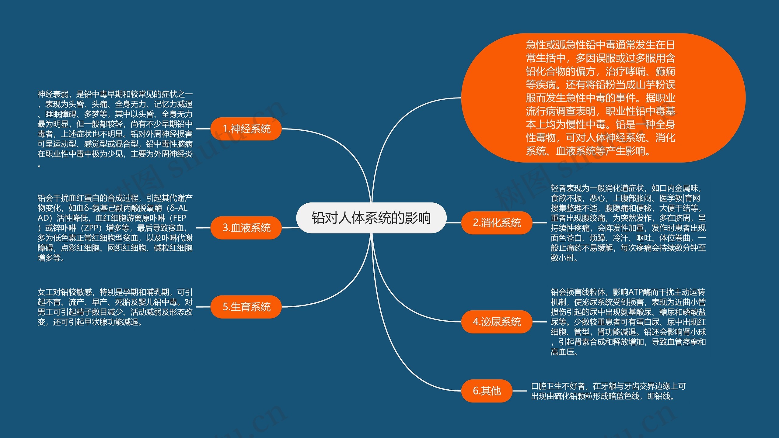 铅对人体系统的影响思维导图