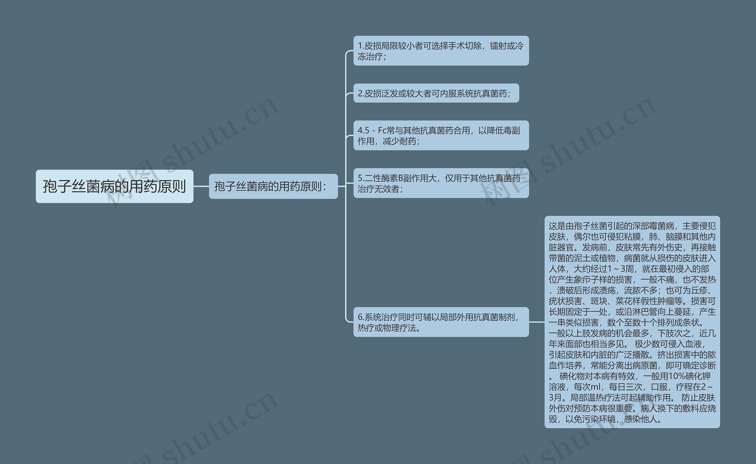 孢子丝菌病的用药原则思维导图