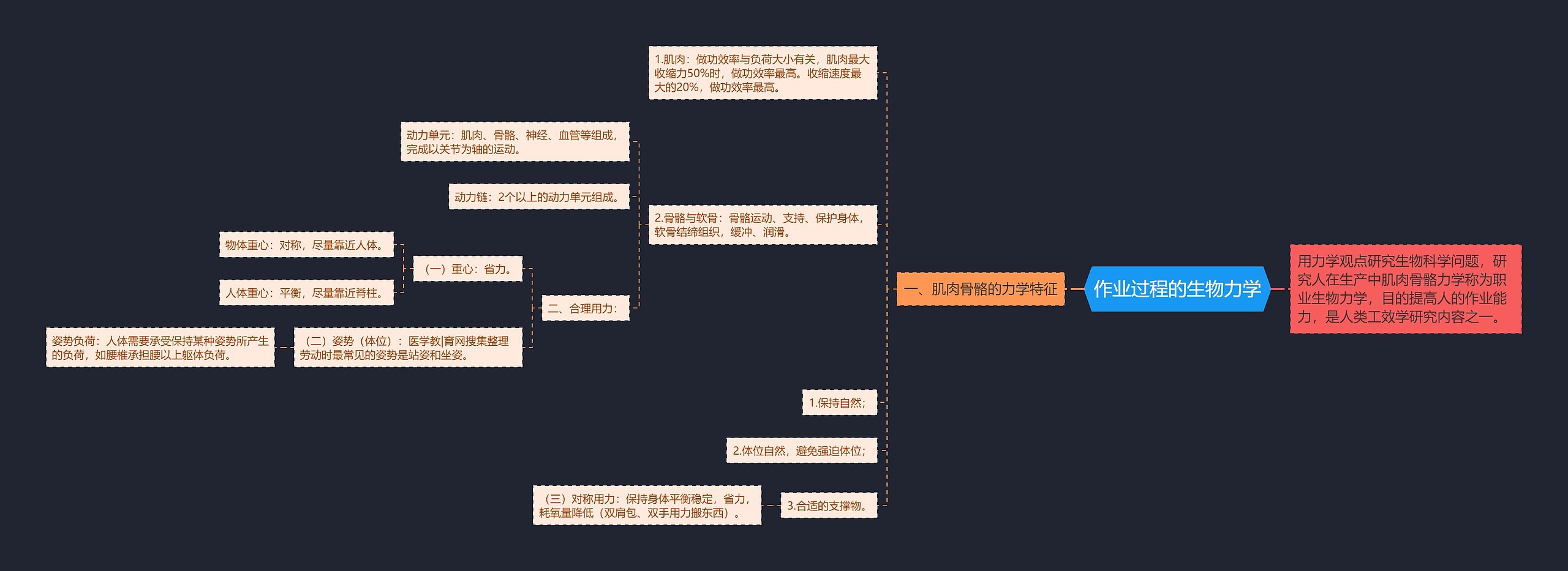 作业过程的生物力学思维导图