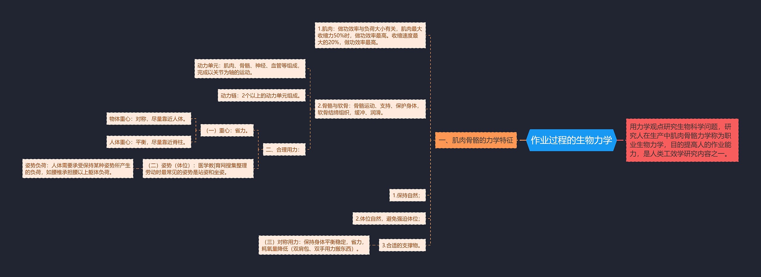 作业过程的生物力学 作业过程的生物力学