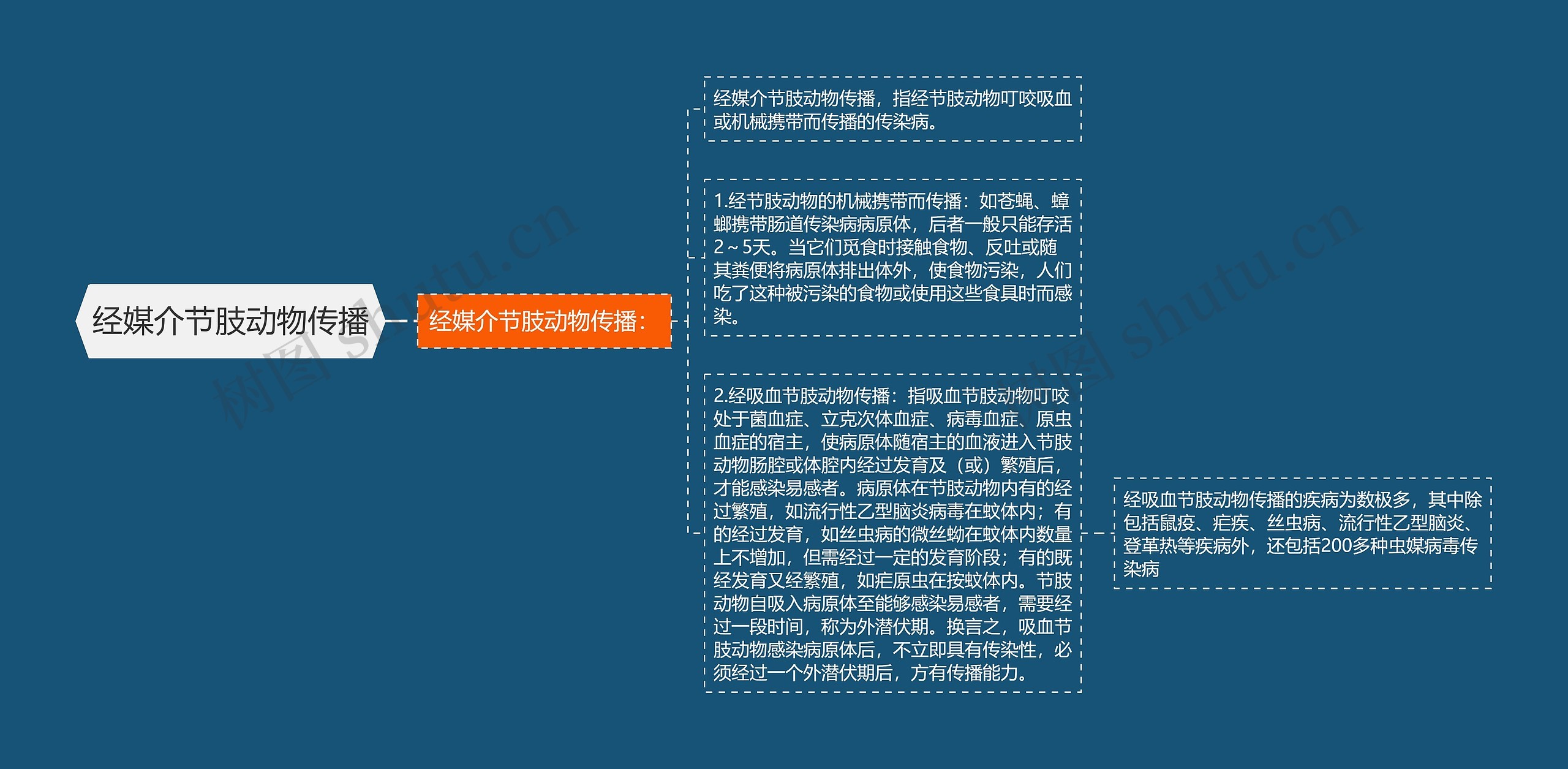 经媒介节肢动物传播 经媒介节肢动物传播