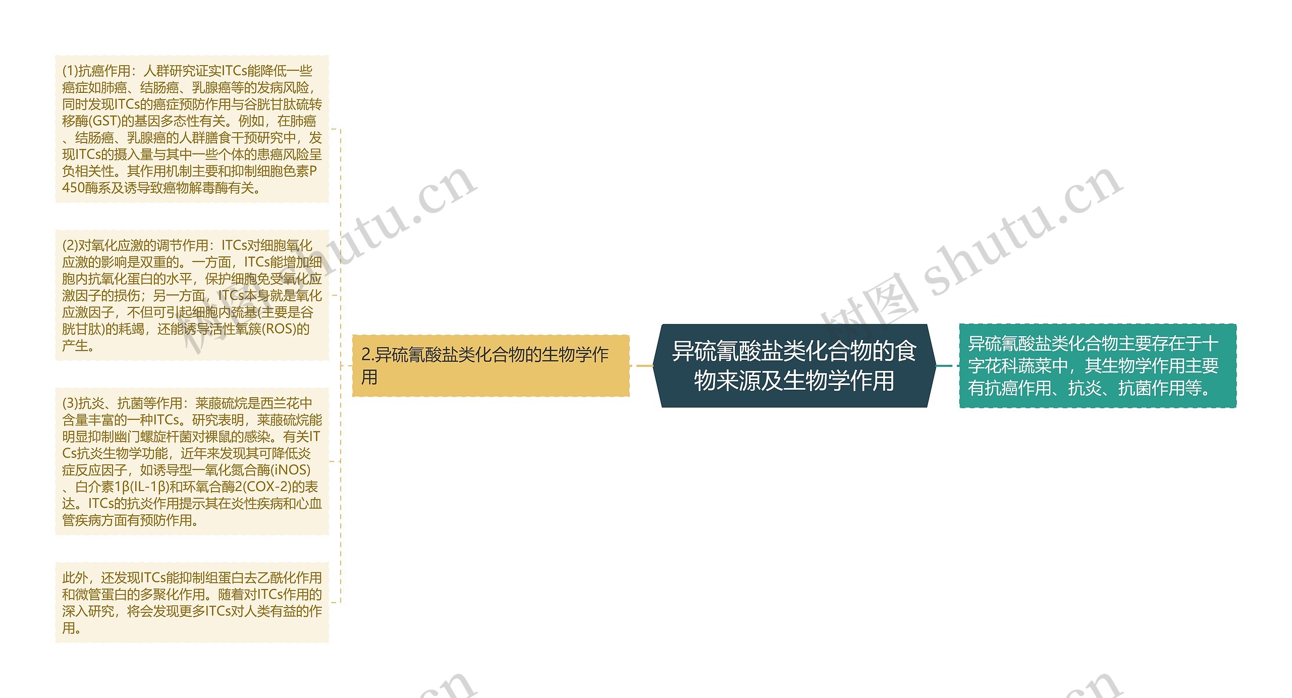 异硫氰酸盐类化合物的食物来源及生物学作用