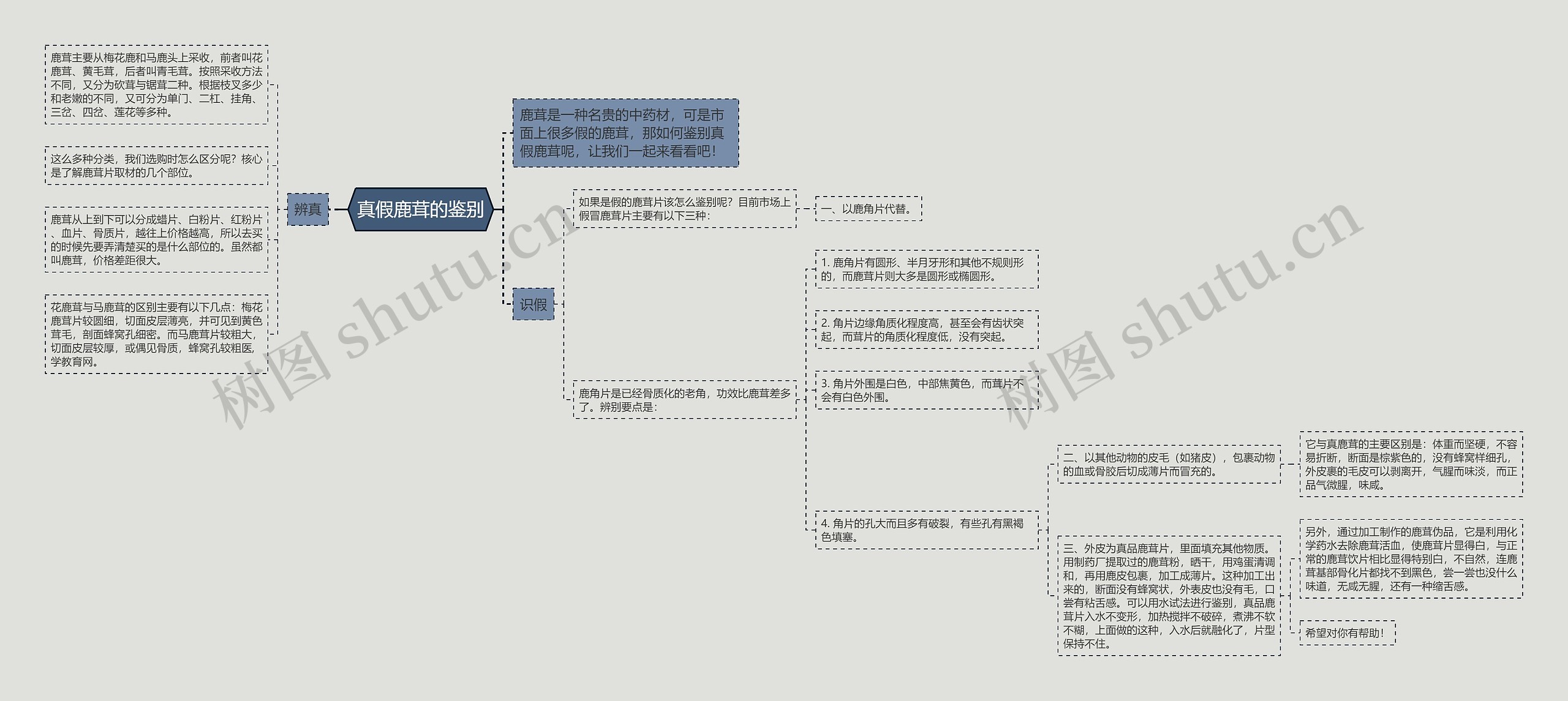 真假鹿茸的鉴别思维导图