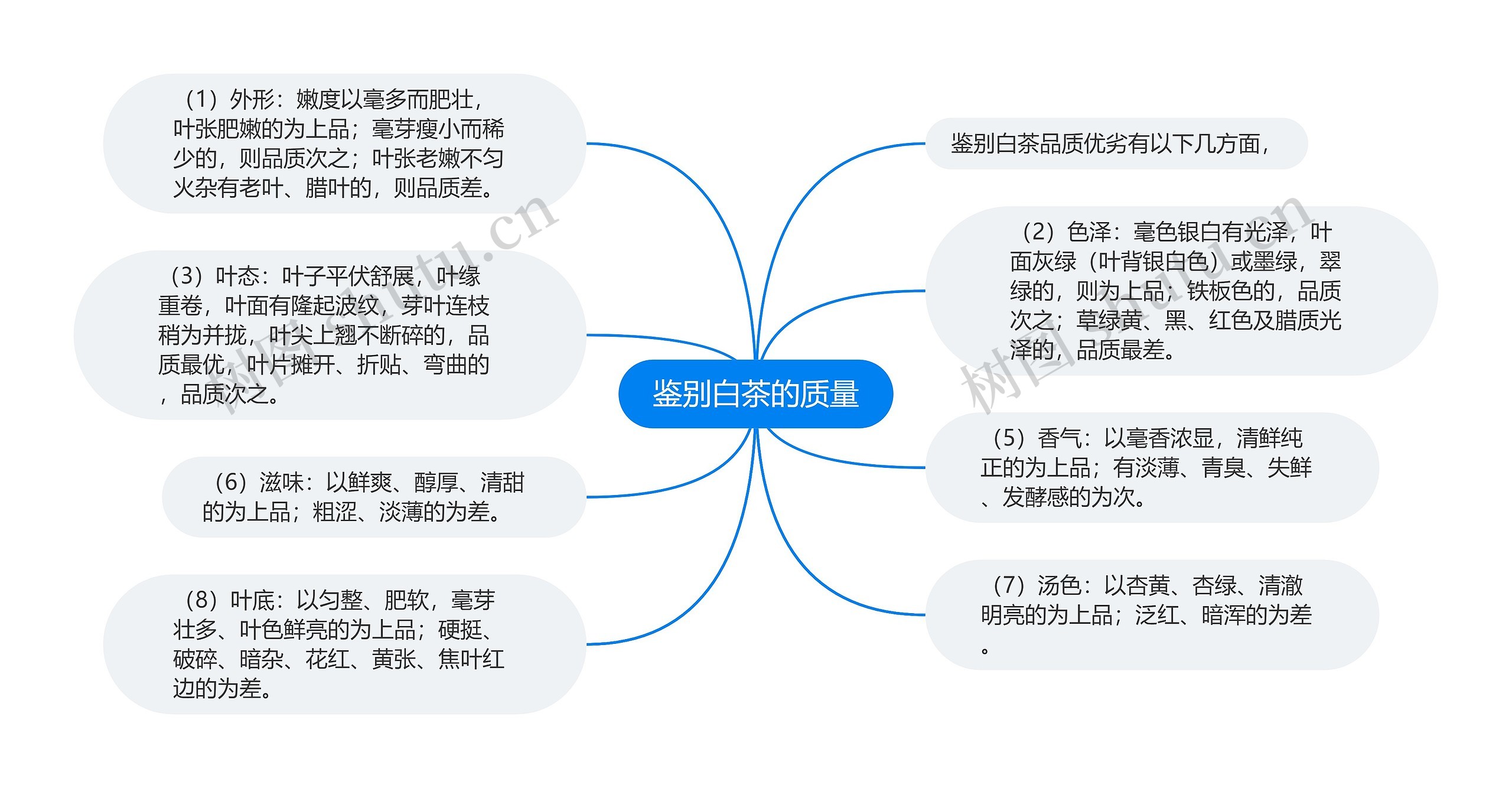 鉴别白茶的质量思维导图