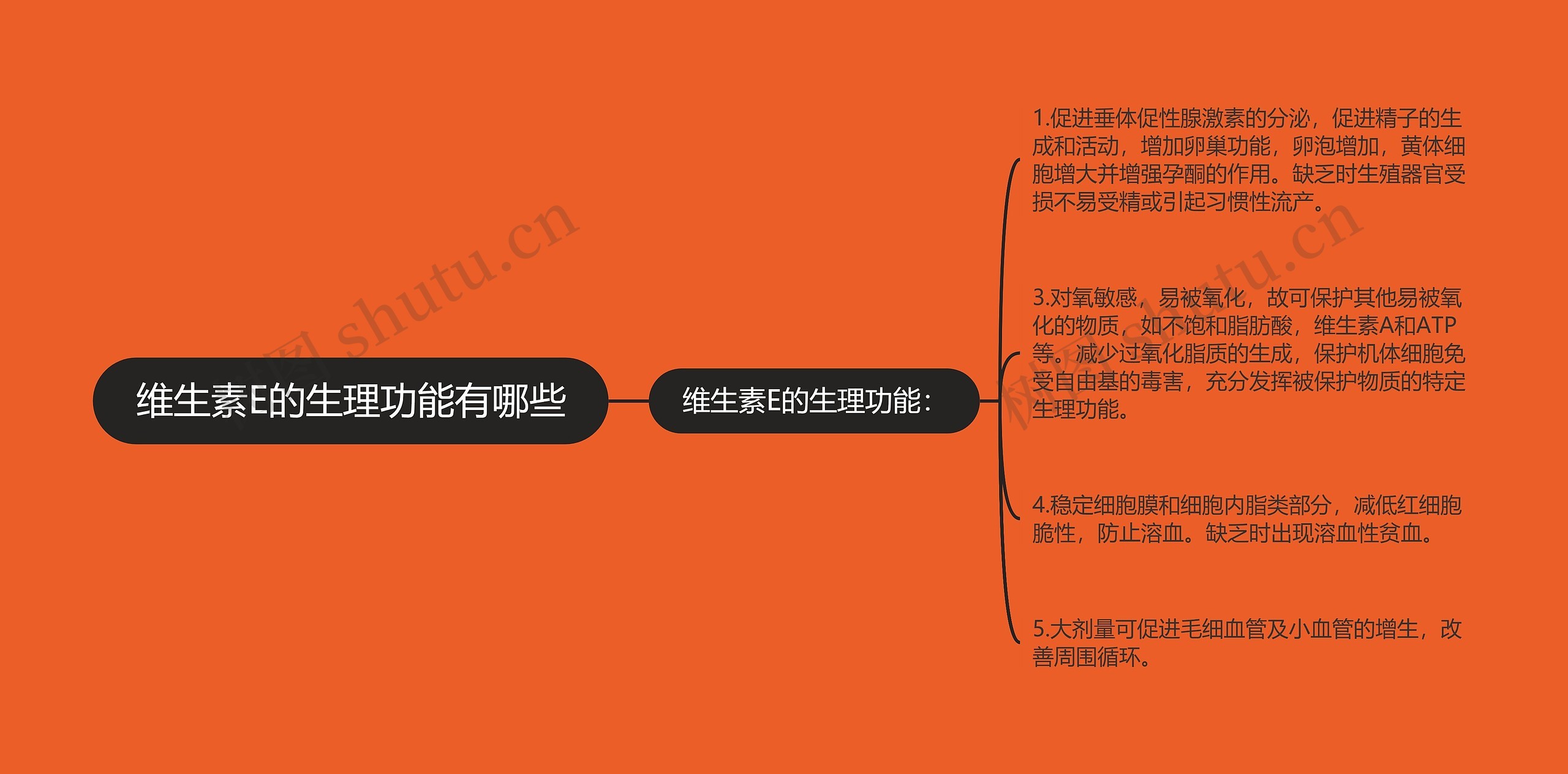 维生素E的生理功能有哪些 维生素E的生理功能有哪些
