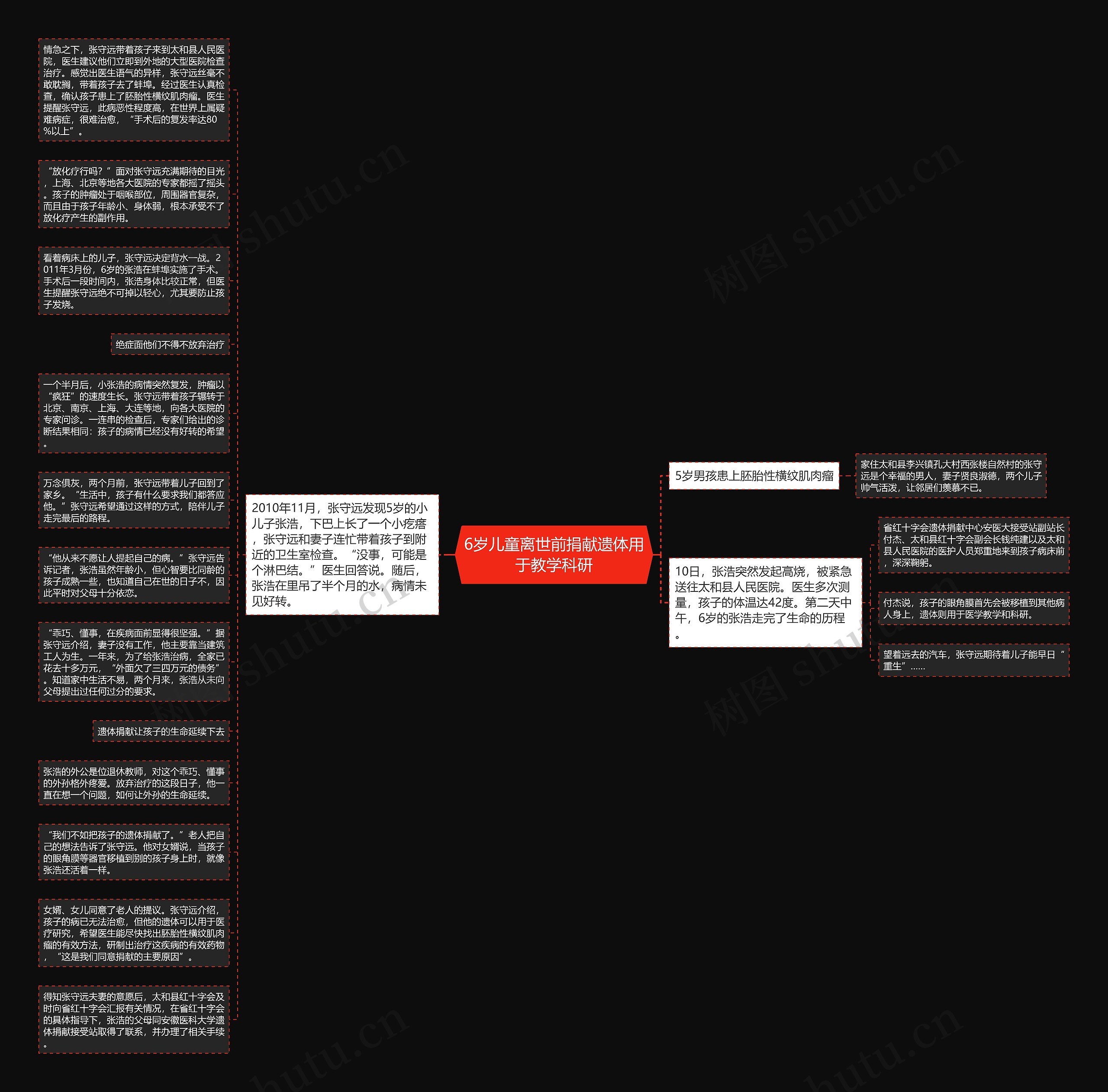 6岁儿童离世前捐献遗体用于教学科研思维导图