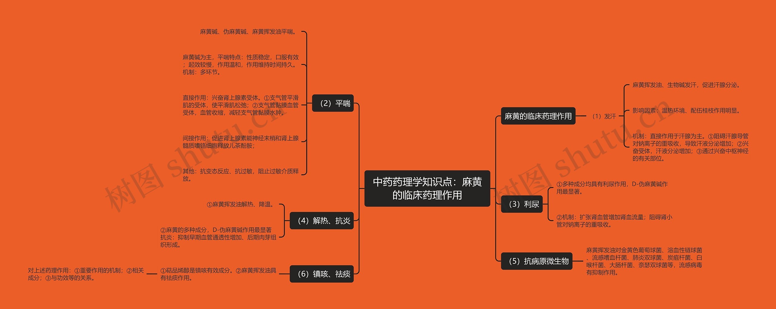 中药药理学知识点：麻黄的临床药理作用思维导图