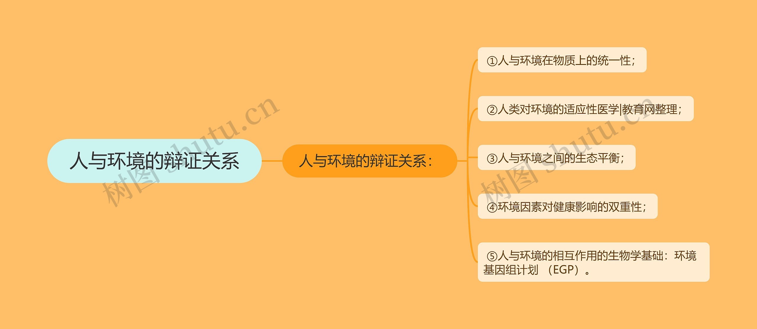 人与环境的辩证关系思维导图