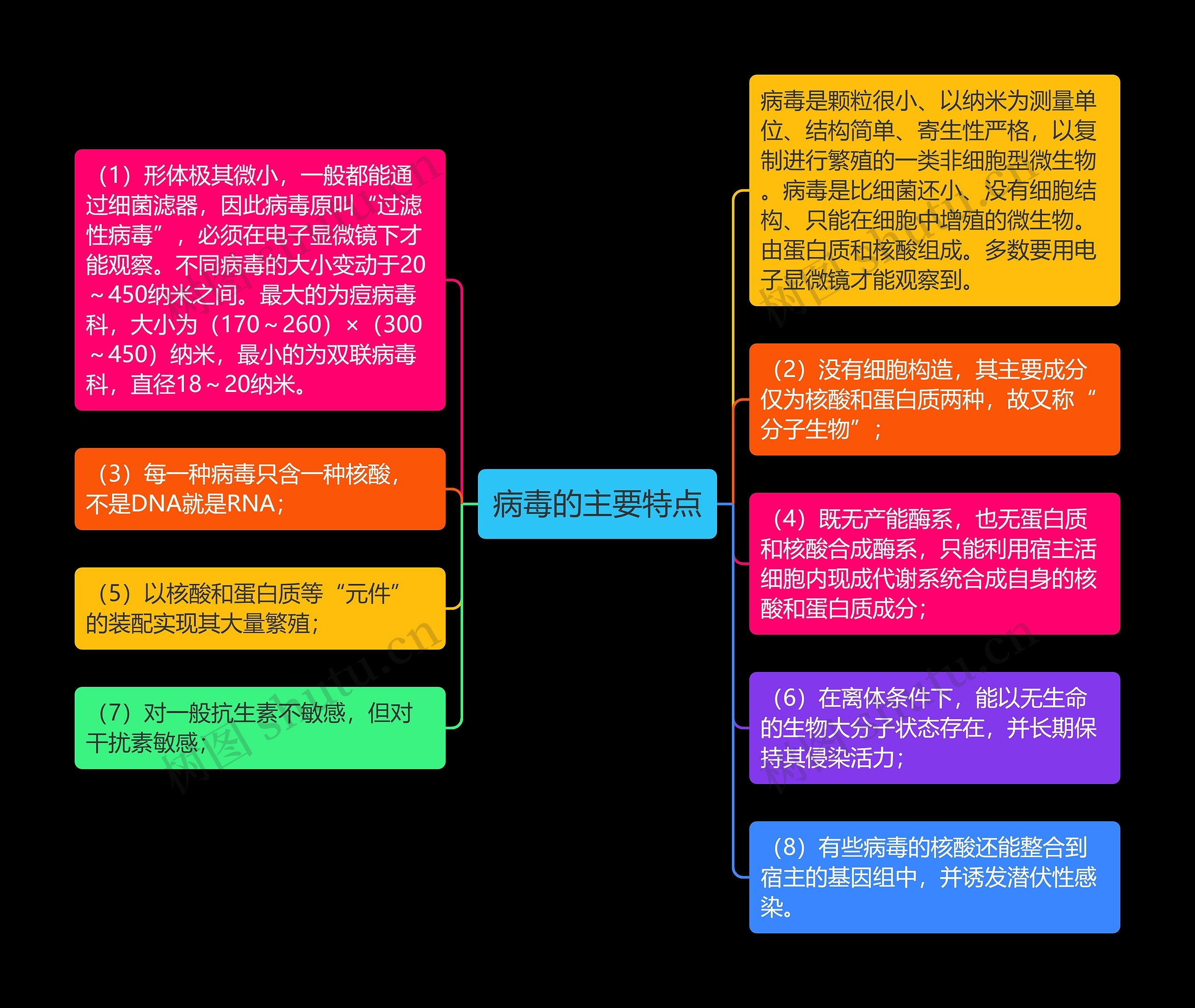 病毒的主要特点