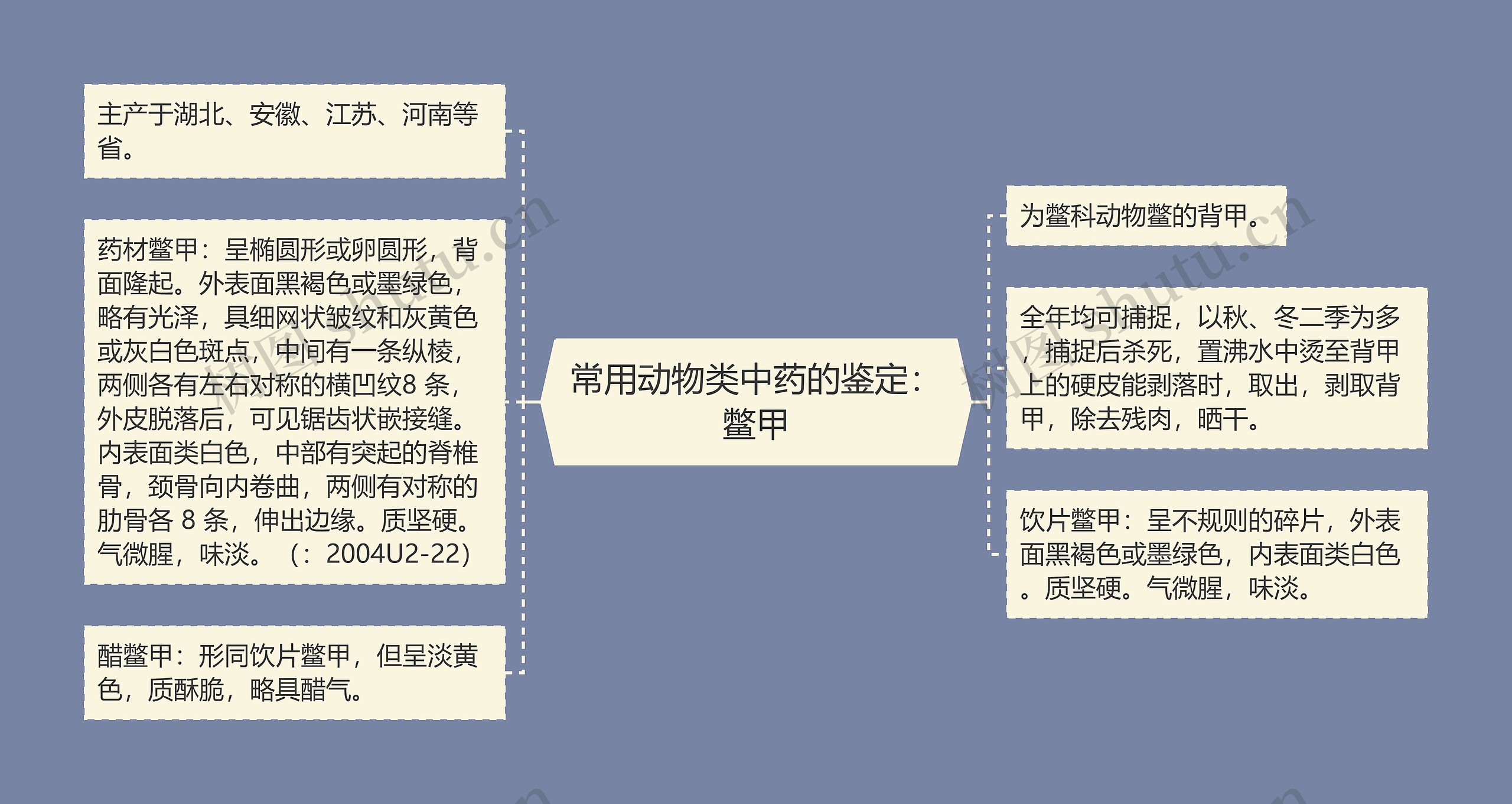 常用动物类中药的鉴定：鳖甲思维导图