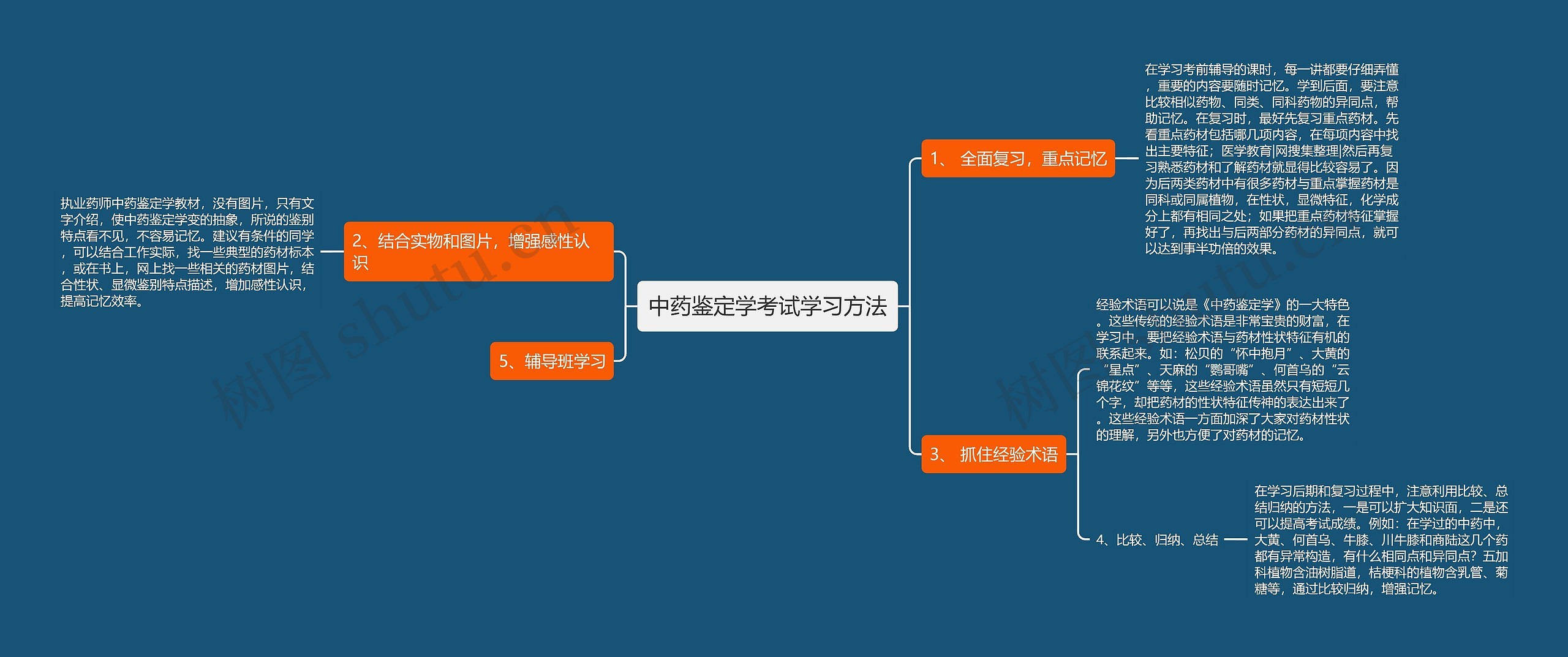 中药鉴定学考试学习方法思维导图