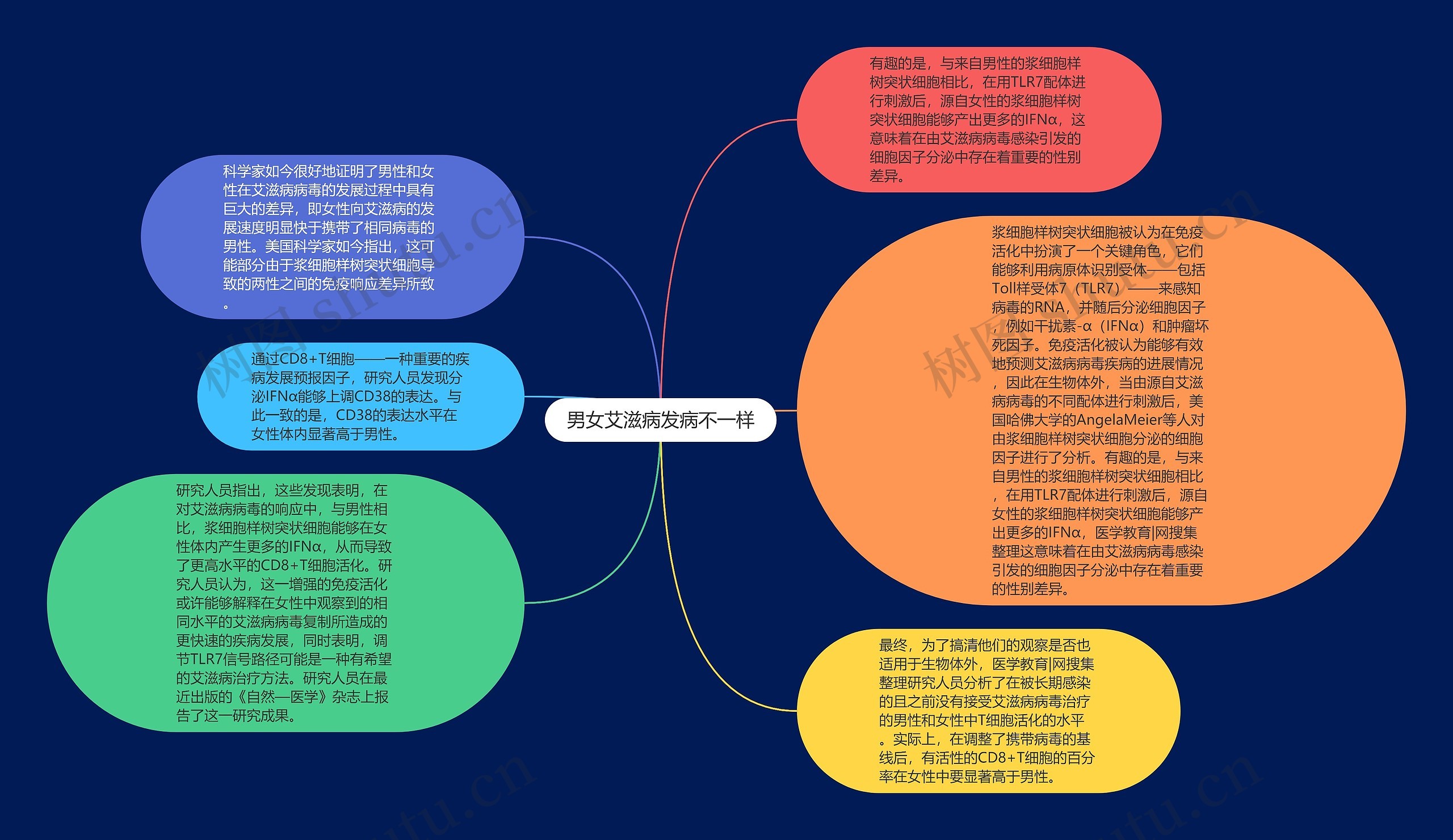 男女艾滋病发病不一样思维导图