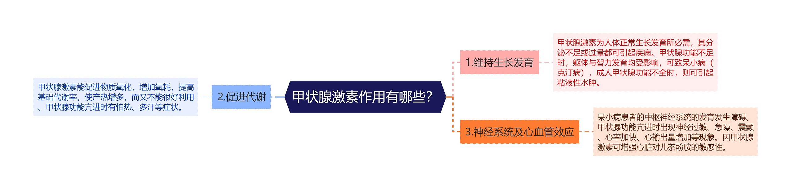 甲状腺激素作用有哪些？思维导图