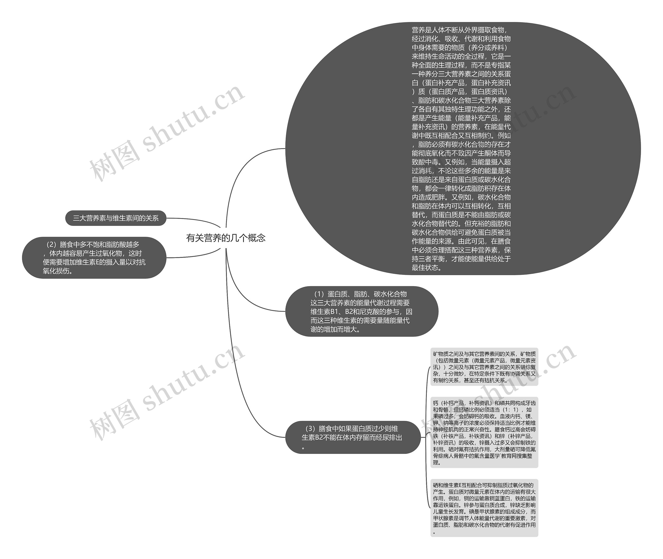 有关营养的几个概念思维导图