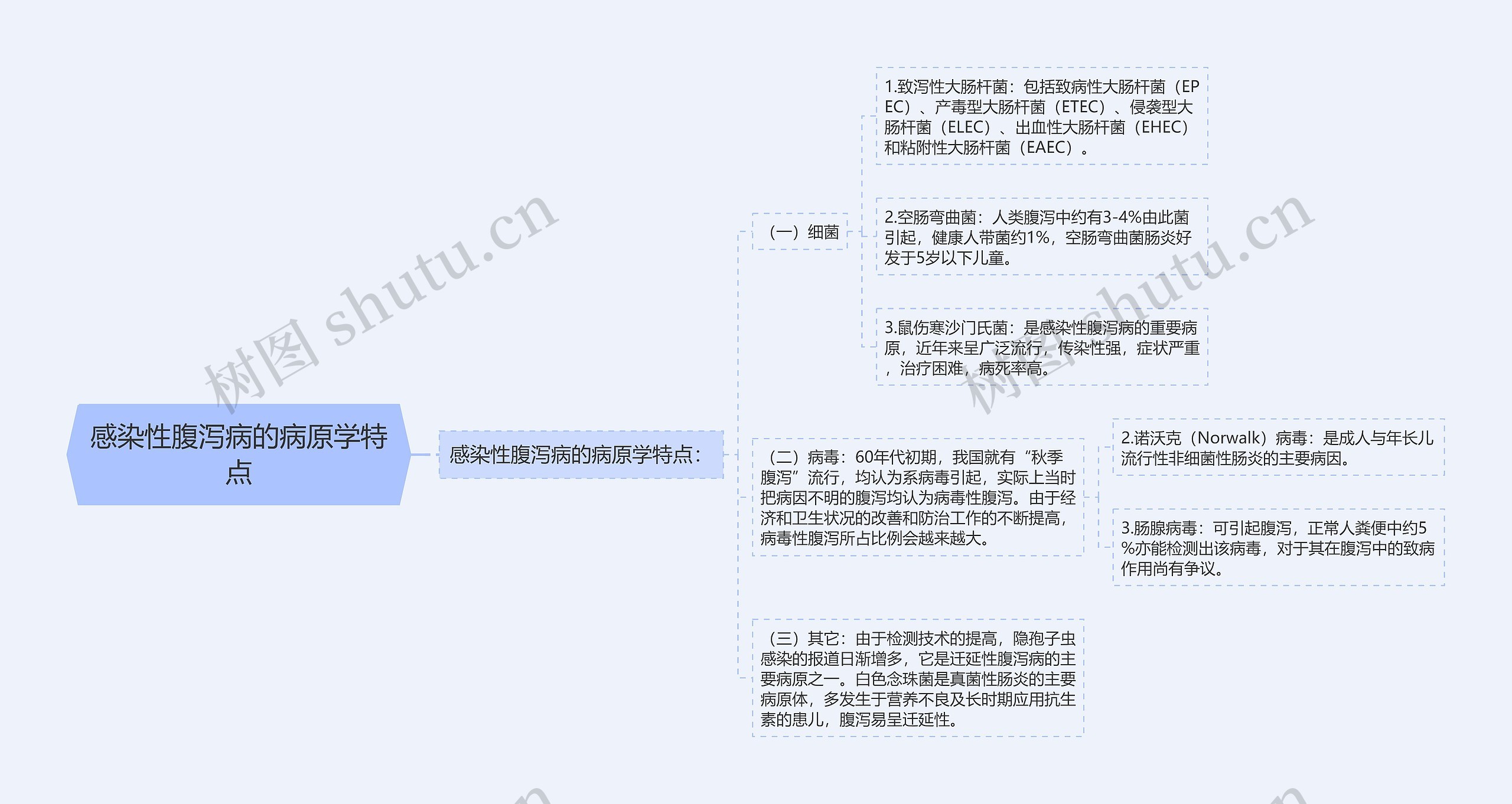 感染性腹泻病的病原学特点思维导图