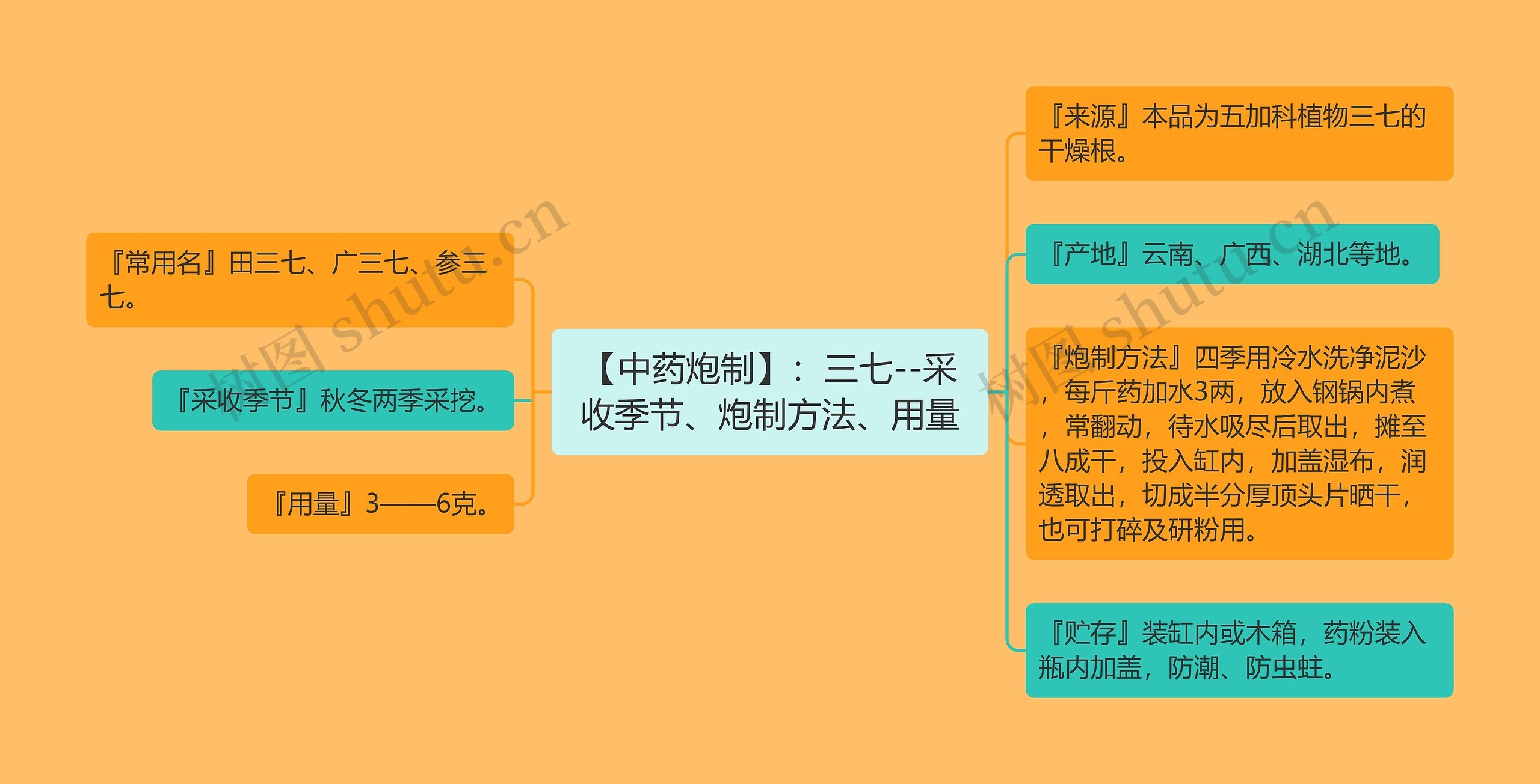 【中药炮制】：三七--采收季节、炮制方法、用量思维导图