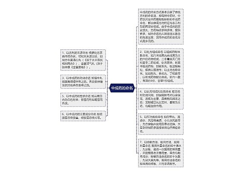 中成药的命名
