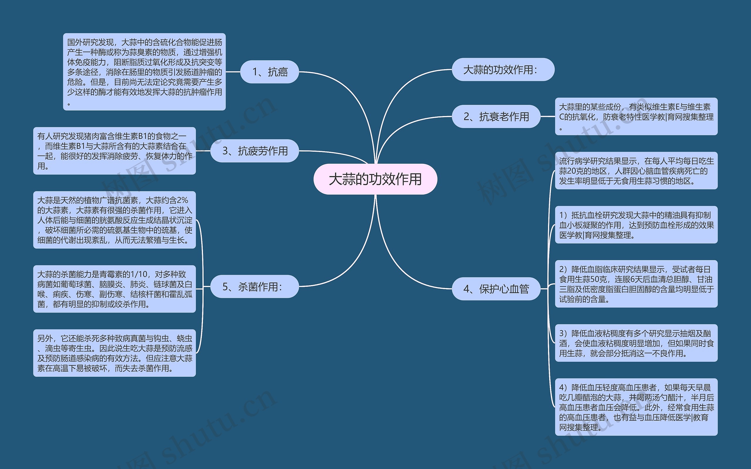 大蒜的功效作用思维导图