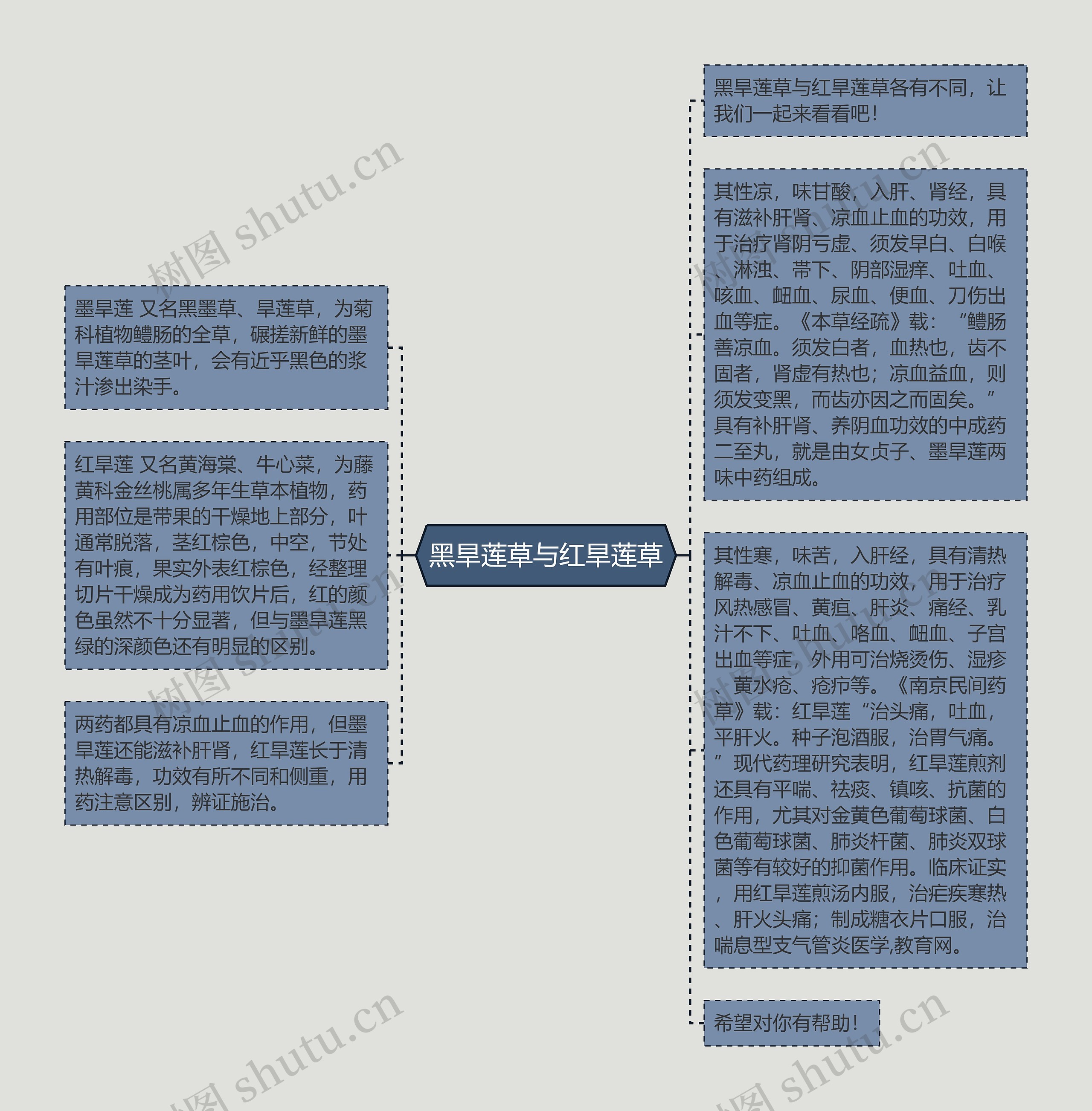 黑旱莲草与红旱莲草思维导图