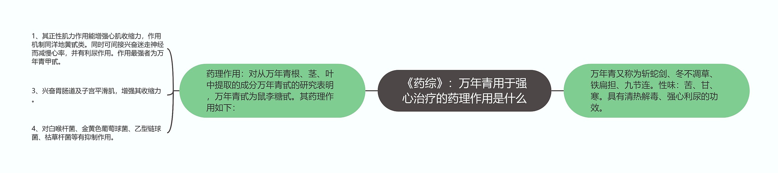 《药综》：万年青用于强心治疗的药理作用是什么思维导图