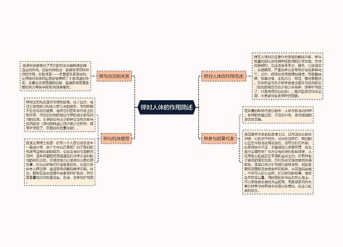 钾对人体的作用简述