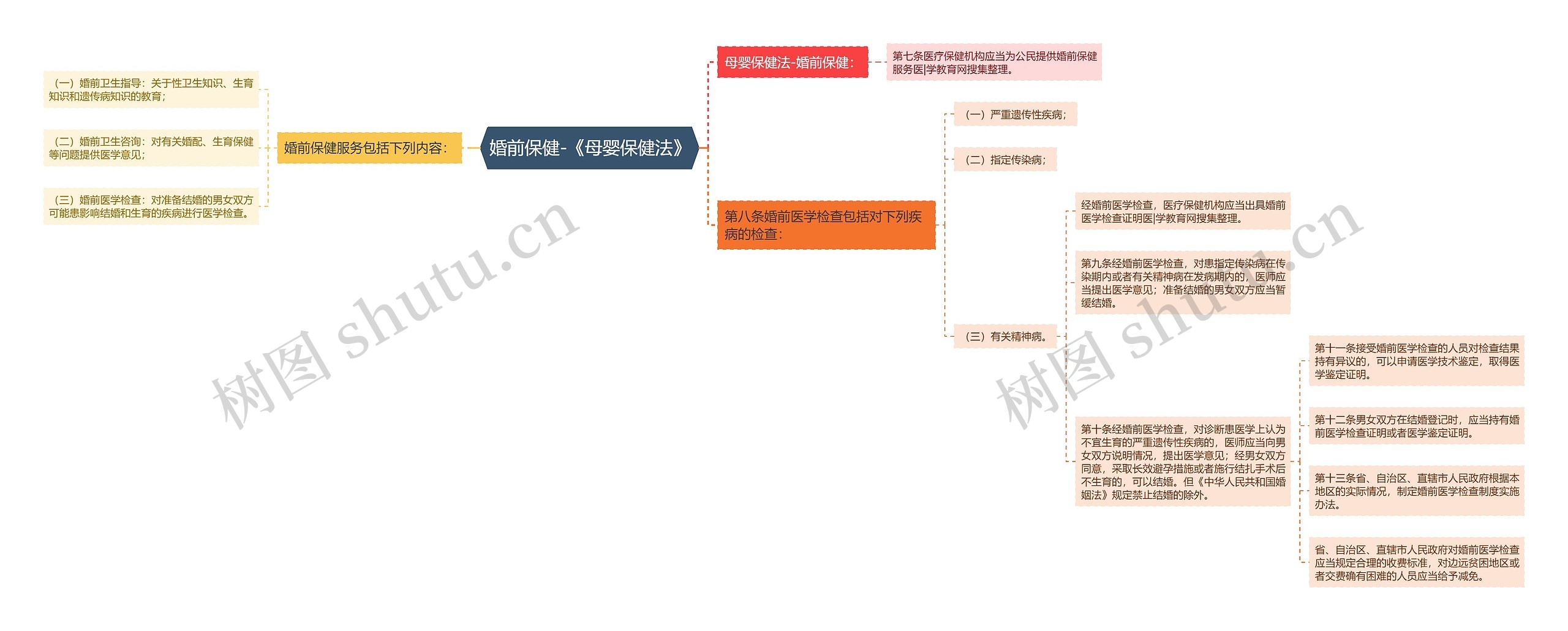 婚前保健-《母婴保健法》思维导图