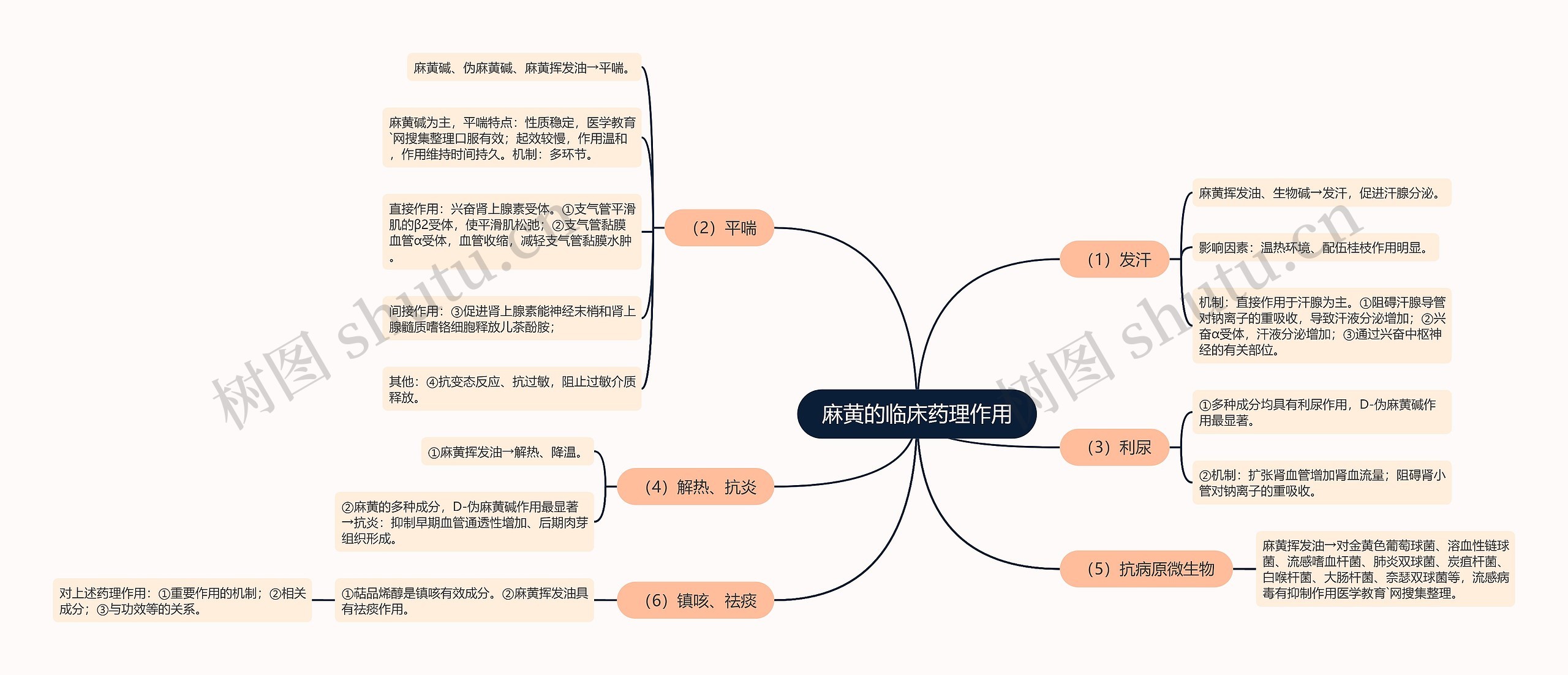 麻黄的临床药理作用思维导图