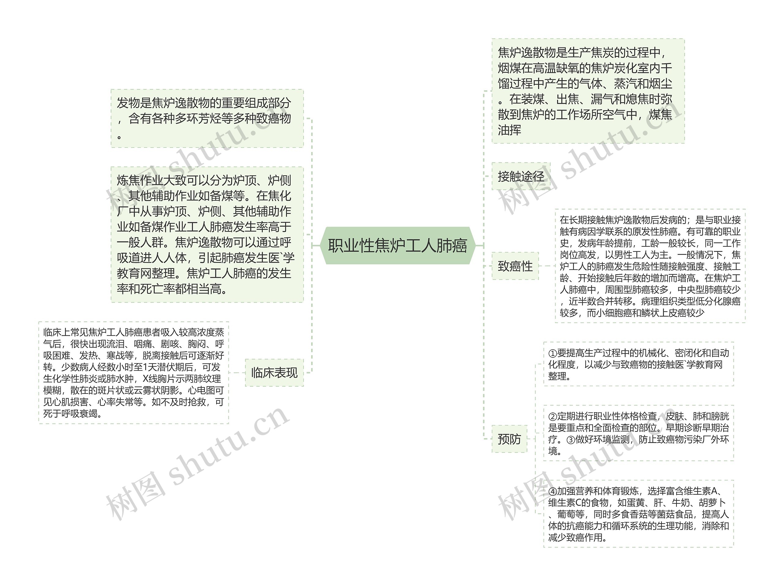 职业性焦炉工人肺癌思维导图