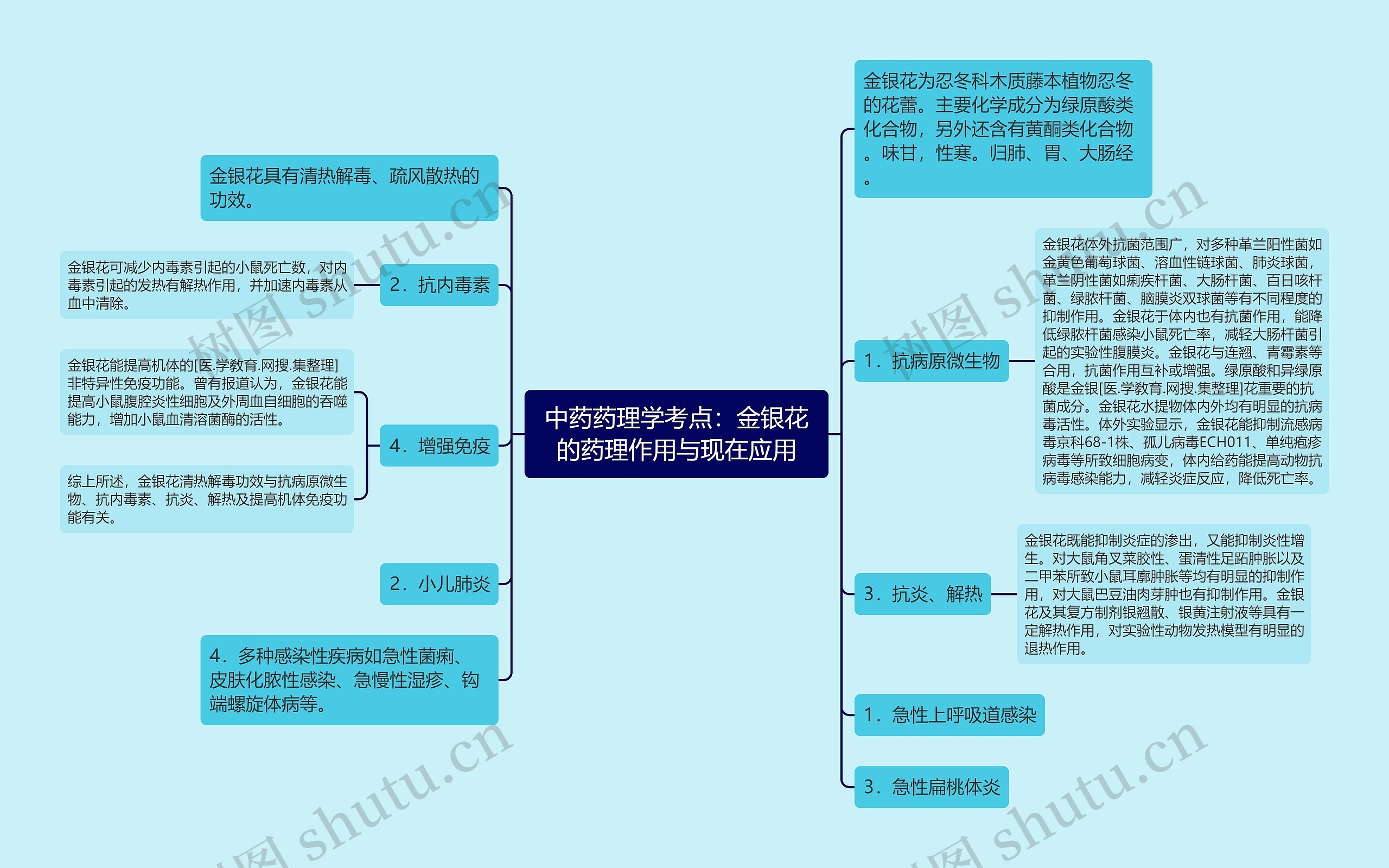 中药药理学考点：金银花的药理作用与现在应用思维导图