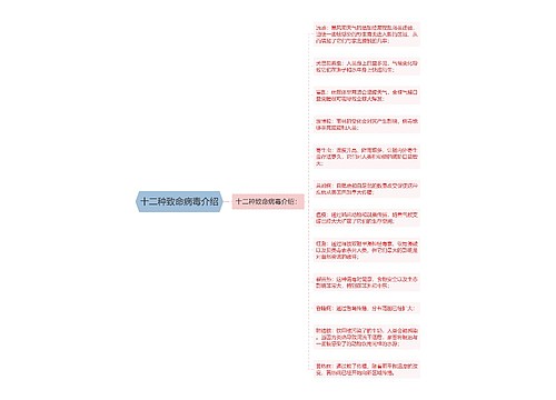 十二种致命病毒介绍