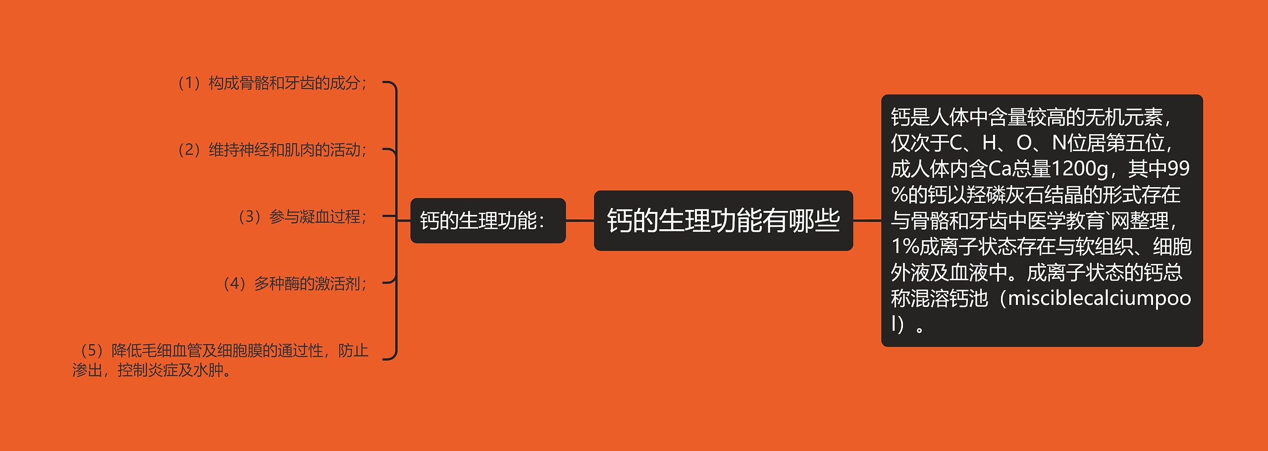 钙的生理功能有哪些 钙的生理功能有哪些