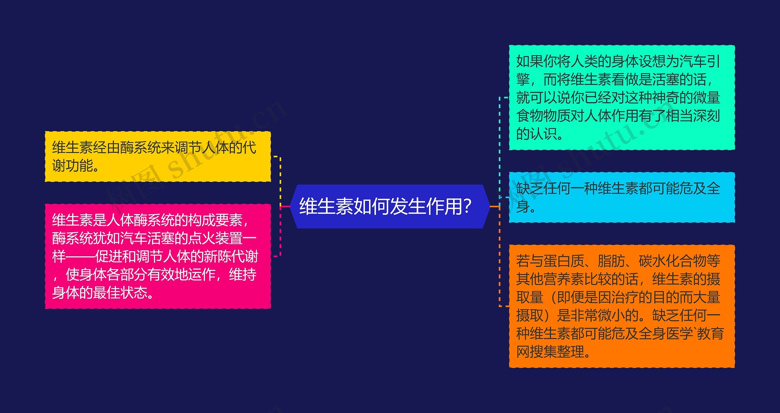 维生素如何发生作用？