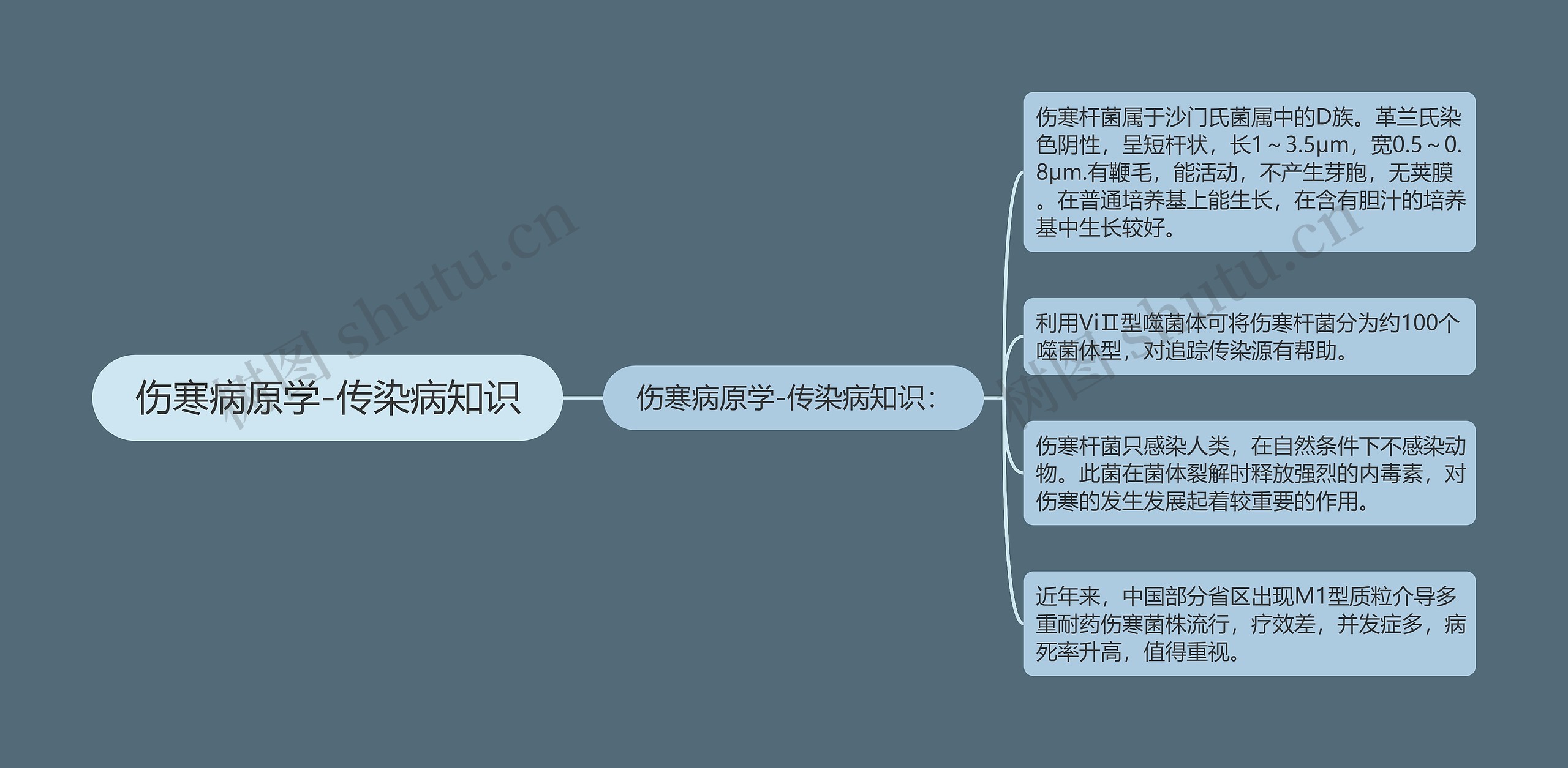 伤寒病原学-传染病知识思维导图