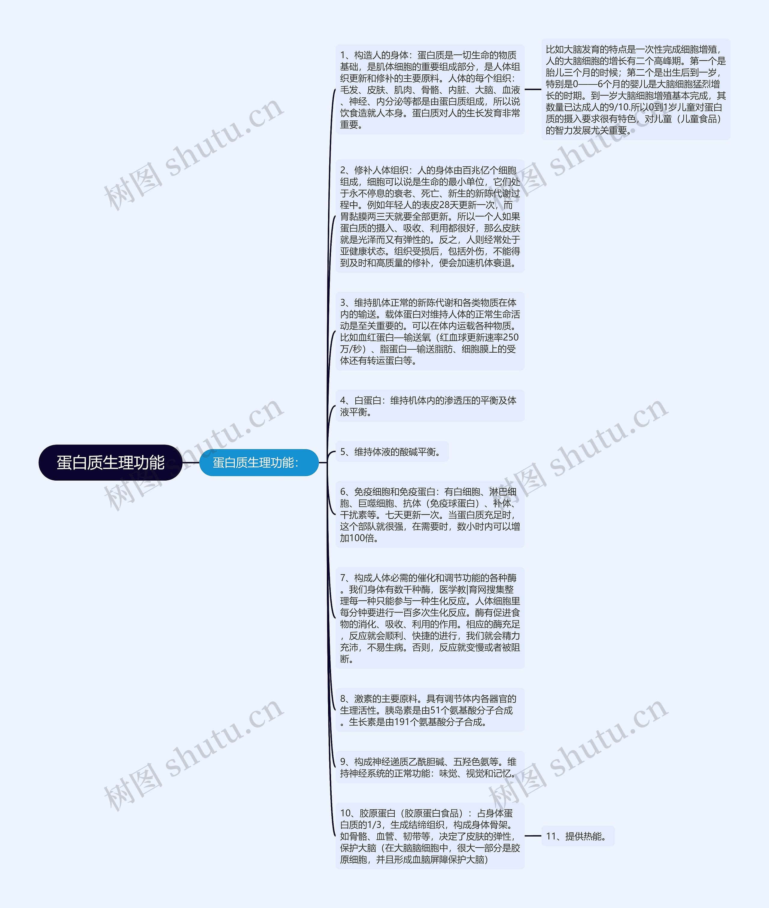 蛋白质生理功能思维导图