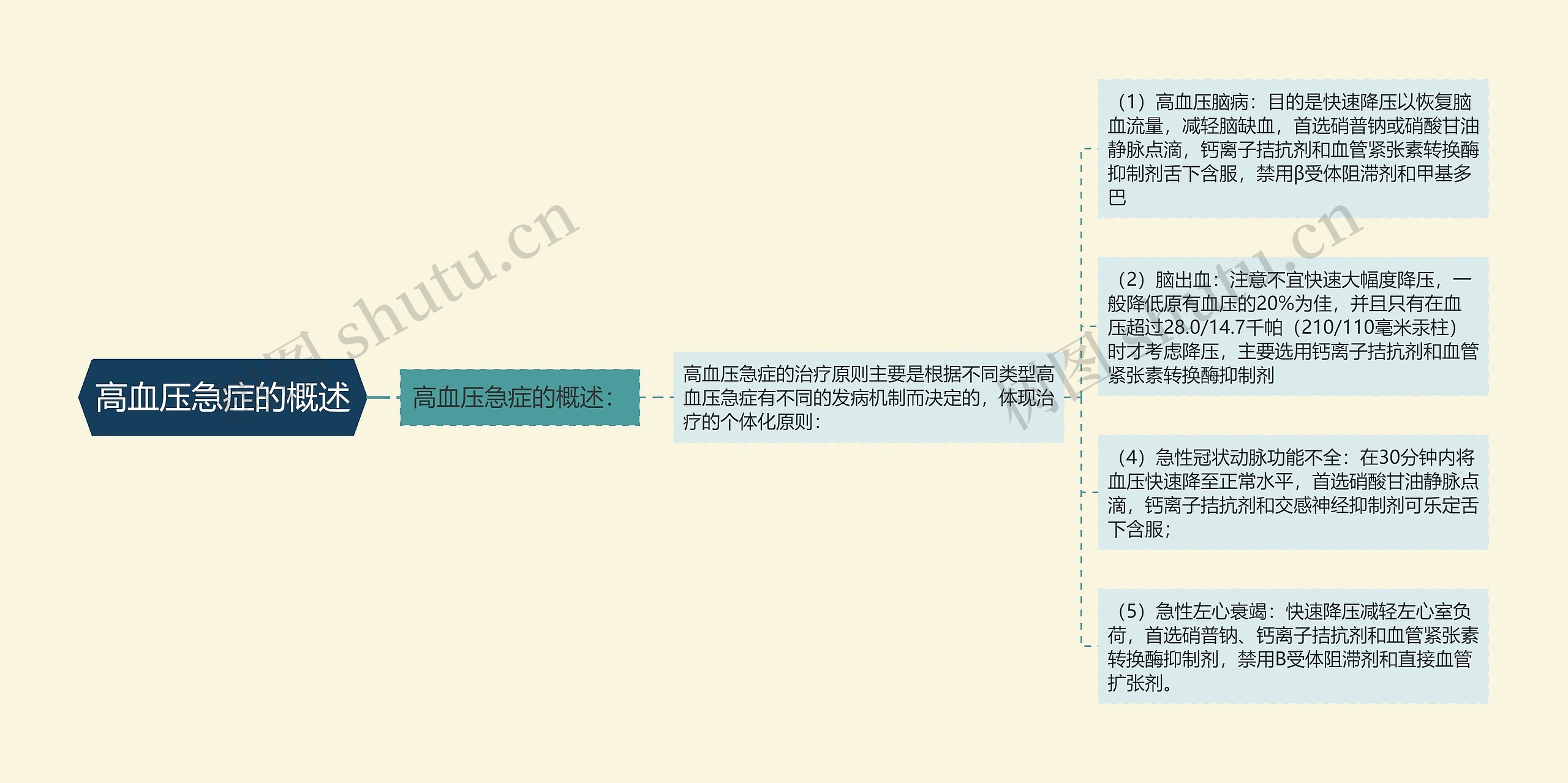 高血压急症的概述