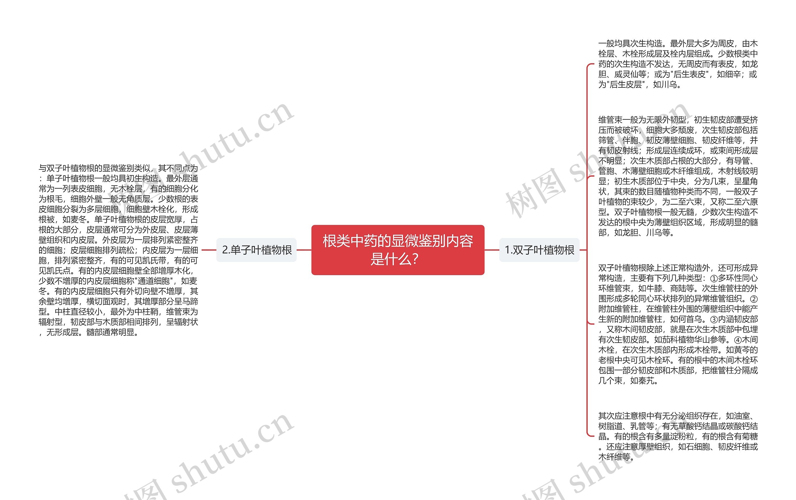 根类中药的显微鉴别内容是什么？思维导图