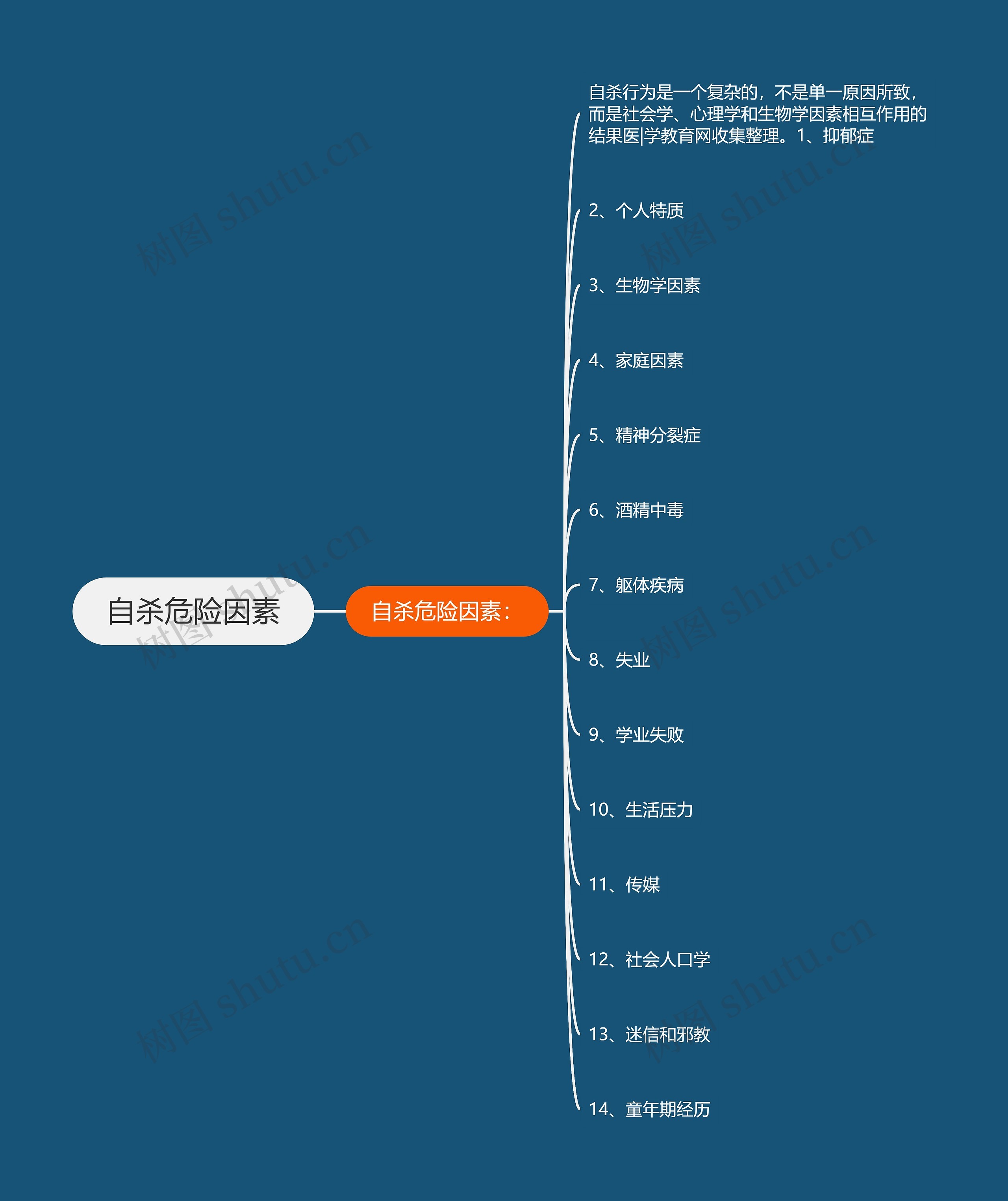 自杀危险因素