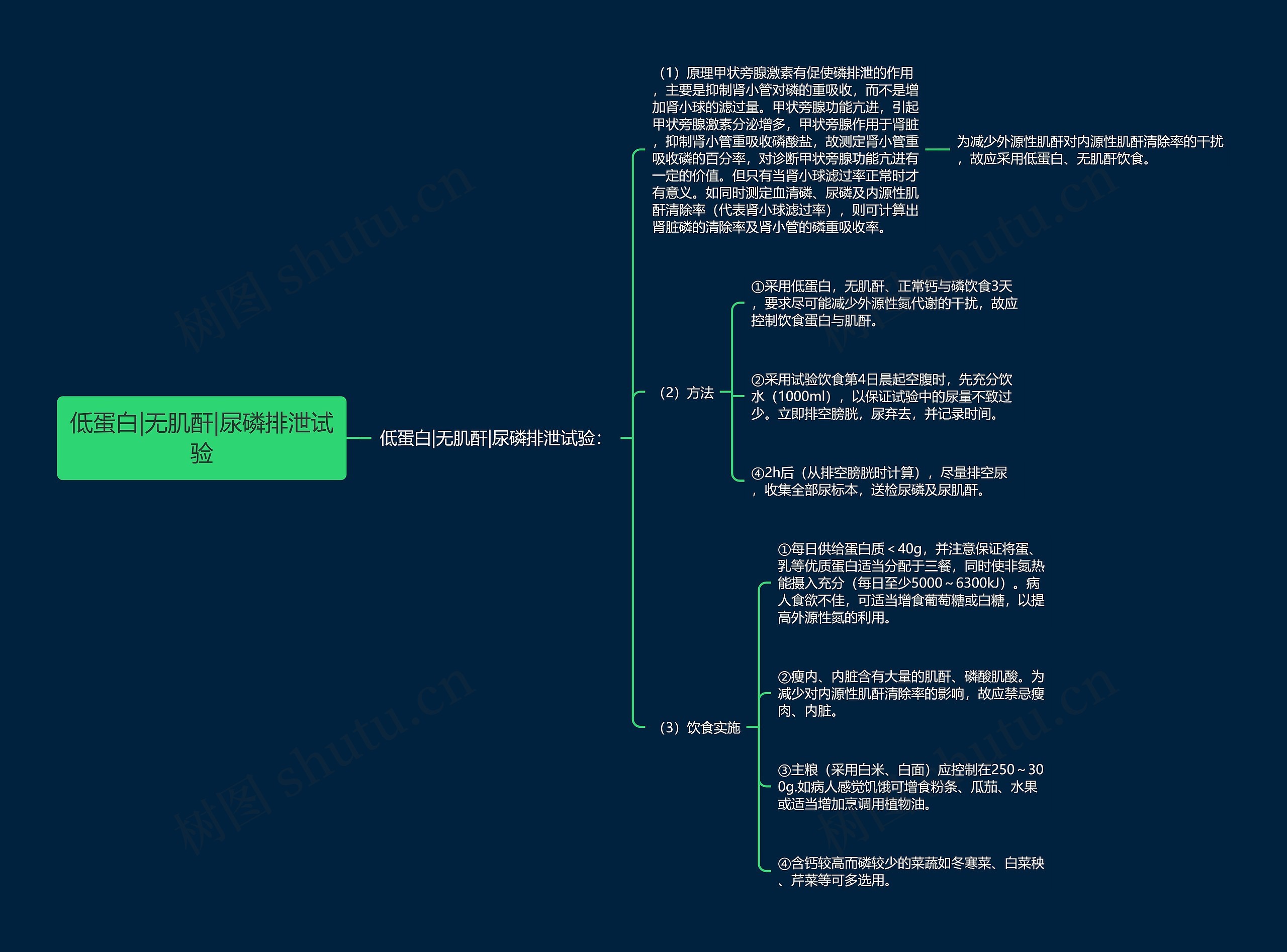 低蛋白|无肌酐|尿磷排泄试验思维导图