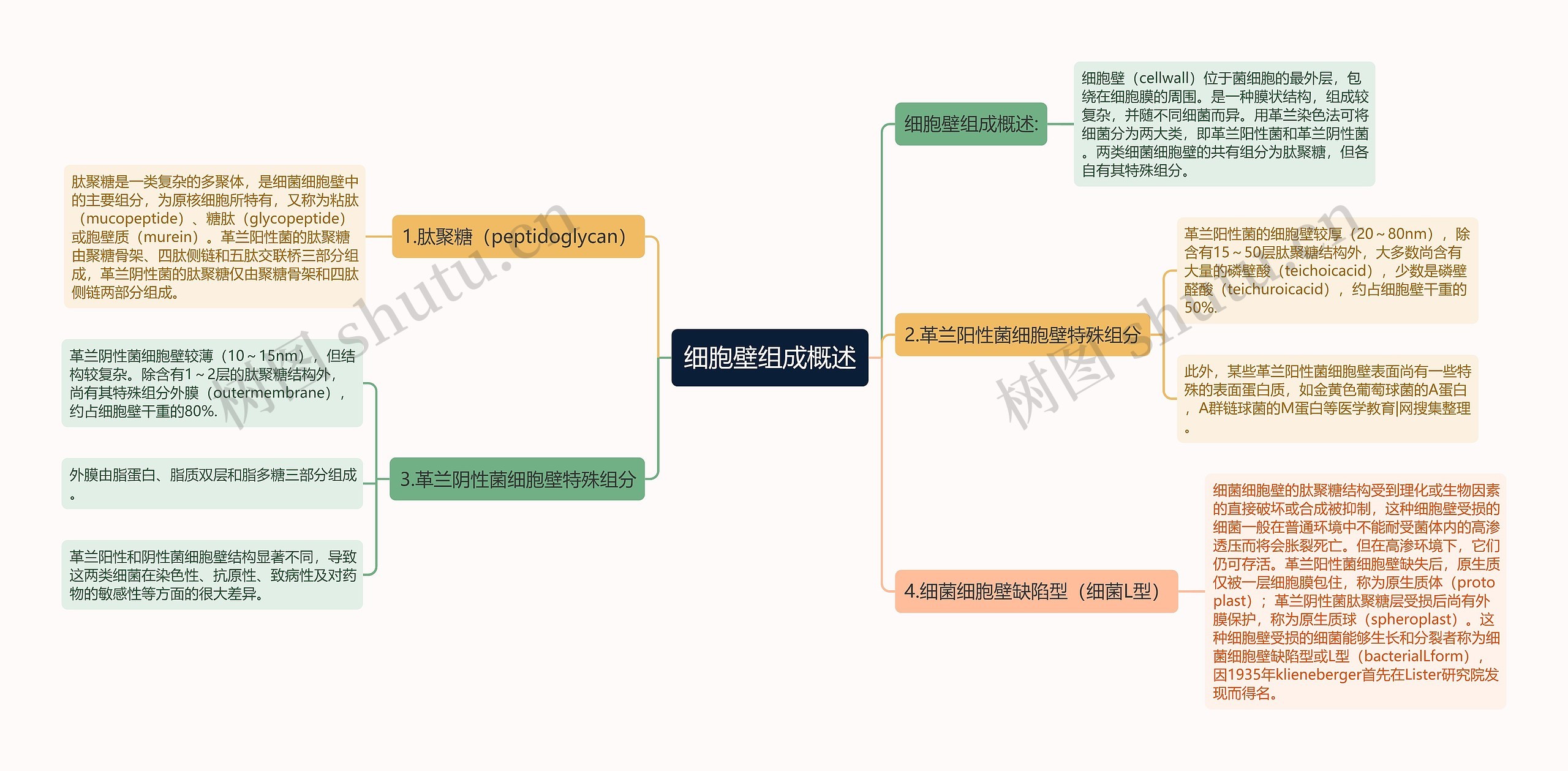 细胞壁组成概述